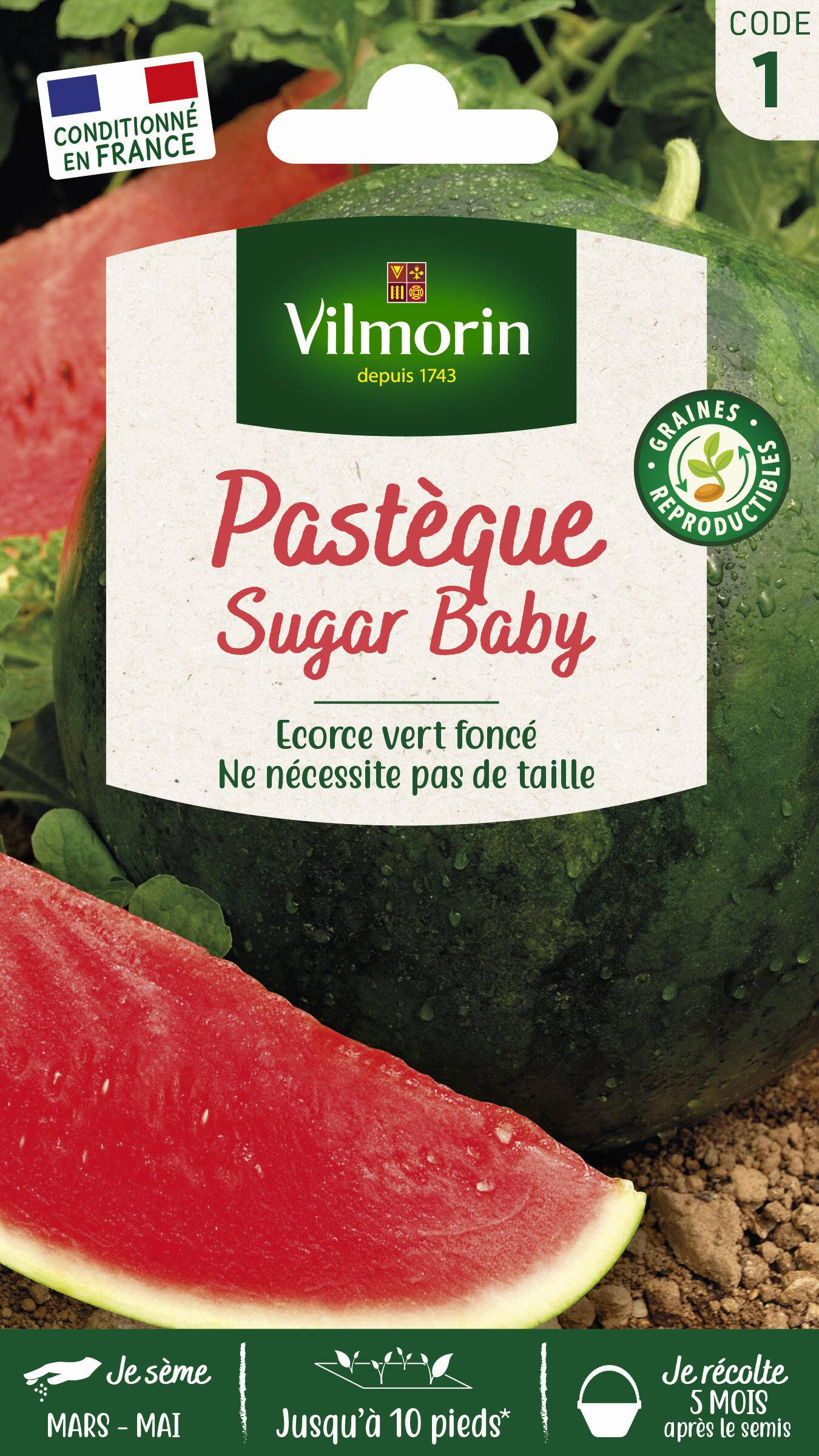 Vilmorin - Pastèque Sugar Baby série 1 sachet graines 3 g - Vilmorin - Image 1