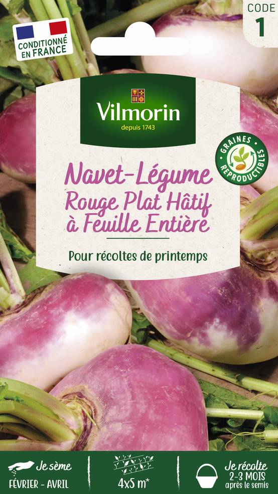 Vilmorin - Navet légume rouge plat hâtif a feuille entière série 1 sachet graines 4 g - Vilmorin - Image 2