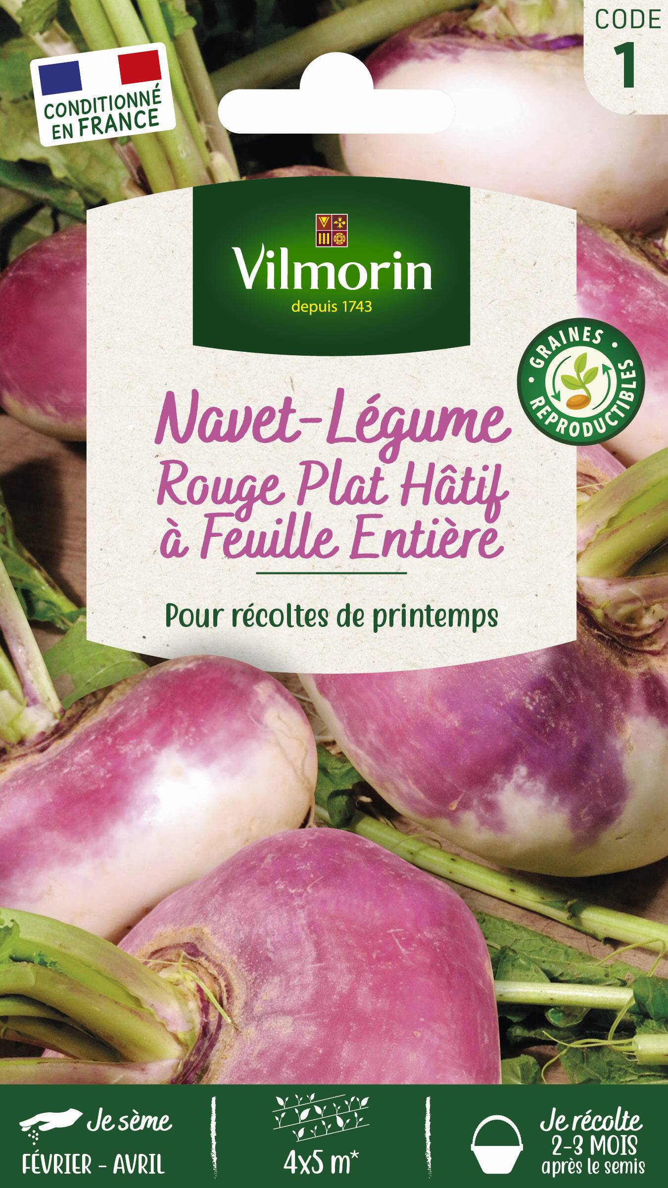 Vilmorin - Navet légume rouge plat hâtif a feuille entière série 1 sachet graines 4 g - Vilmorin - Image 2