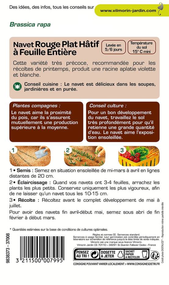Vilmorin - Navet légume rouge plat hâtif a feuille entière série 1 sachet graines 4 g - Vilmorin - Image 4
