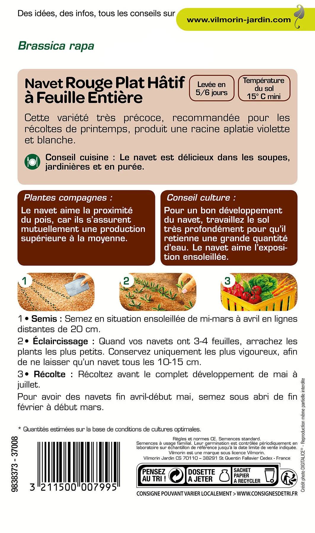 Vilmorin - Navet légume rouge plat hâtif a feuille entière série 1 sachet graines 4 g - Vilmorin - Image 4