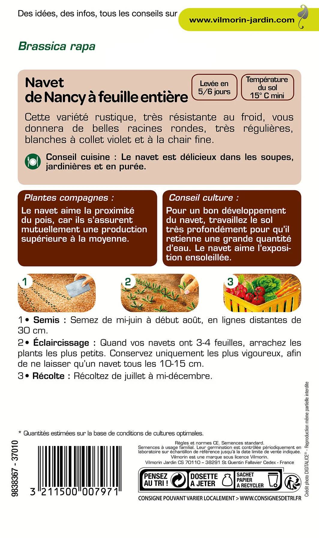 Vilmorin - Navet légume de Nancy a feuille entière série 2 sachet graines 4 g - Vilmorin - Image 3