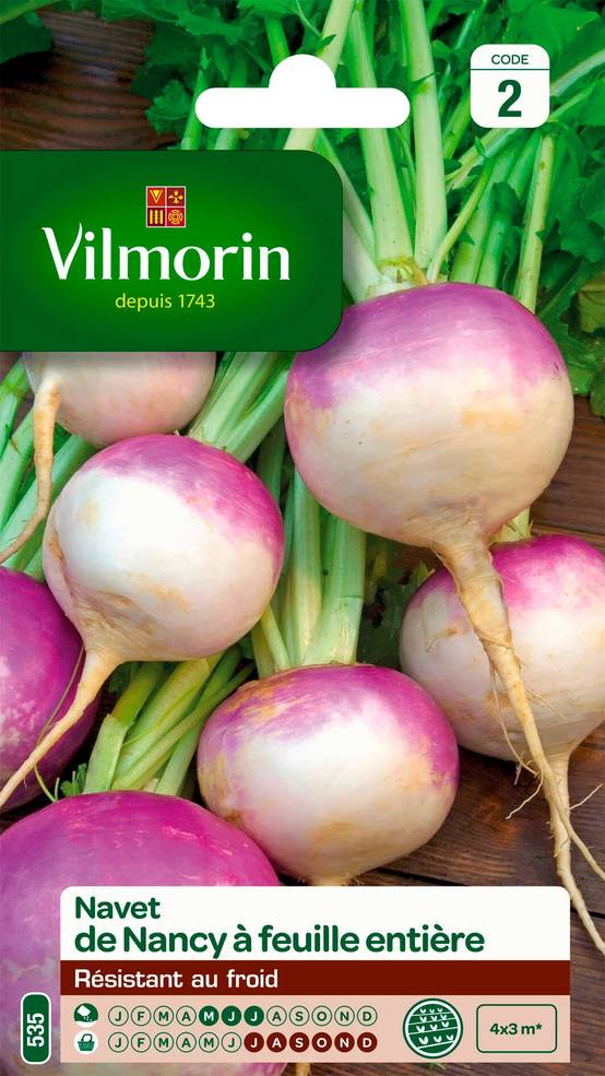Vilmorin - Navet légume de Nancy a feuille entière série 2 sachet graines 4 g - Vilmorin - Image 2