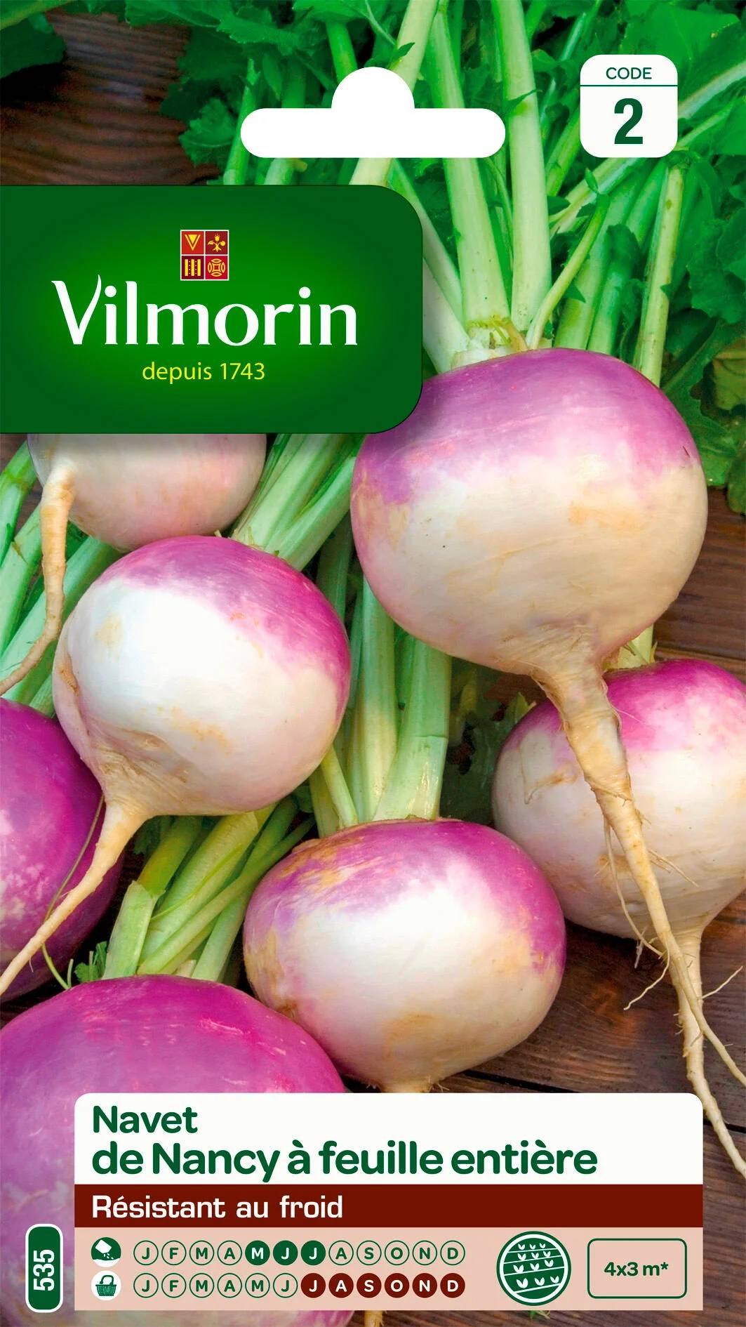 Vilmorin - Navet légume de Nancy a feuille entière série 2 sachet graines 4 g - Vilmorin - Image 2