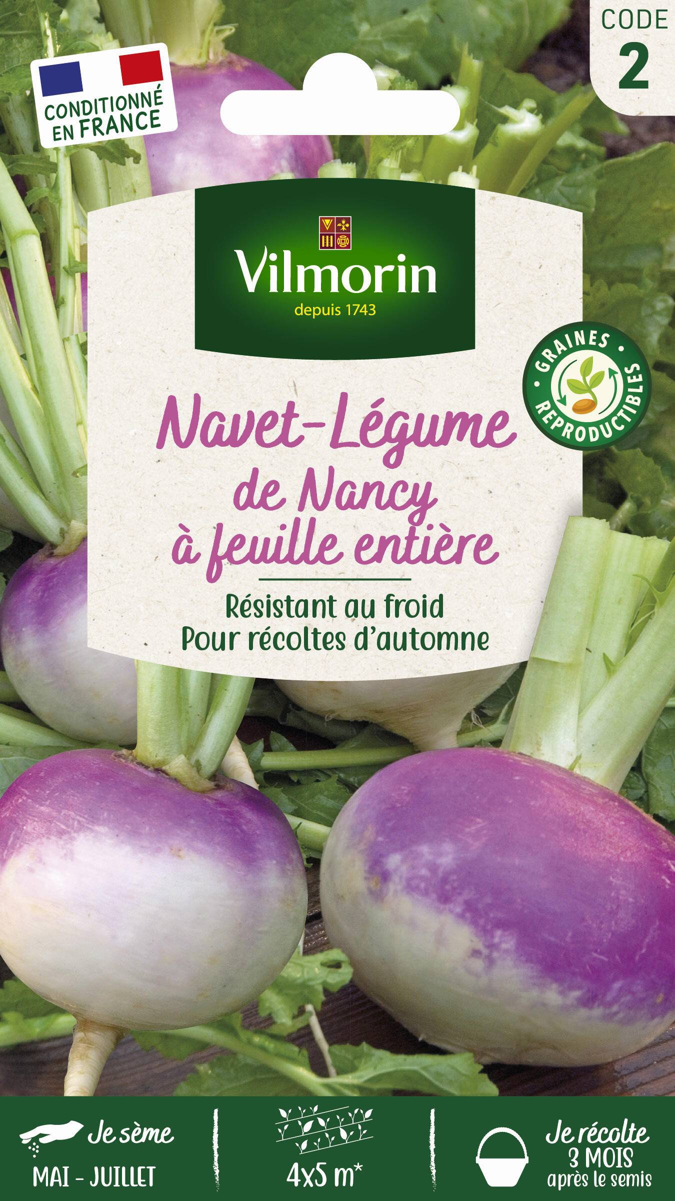 Vilmorin - Navet légume de Nancy a feuille entière série 2 sachet graines 4 g - Vilmorin - Image 1