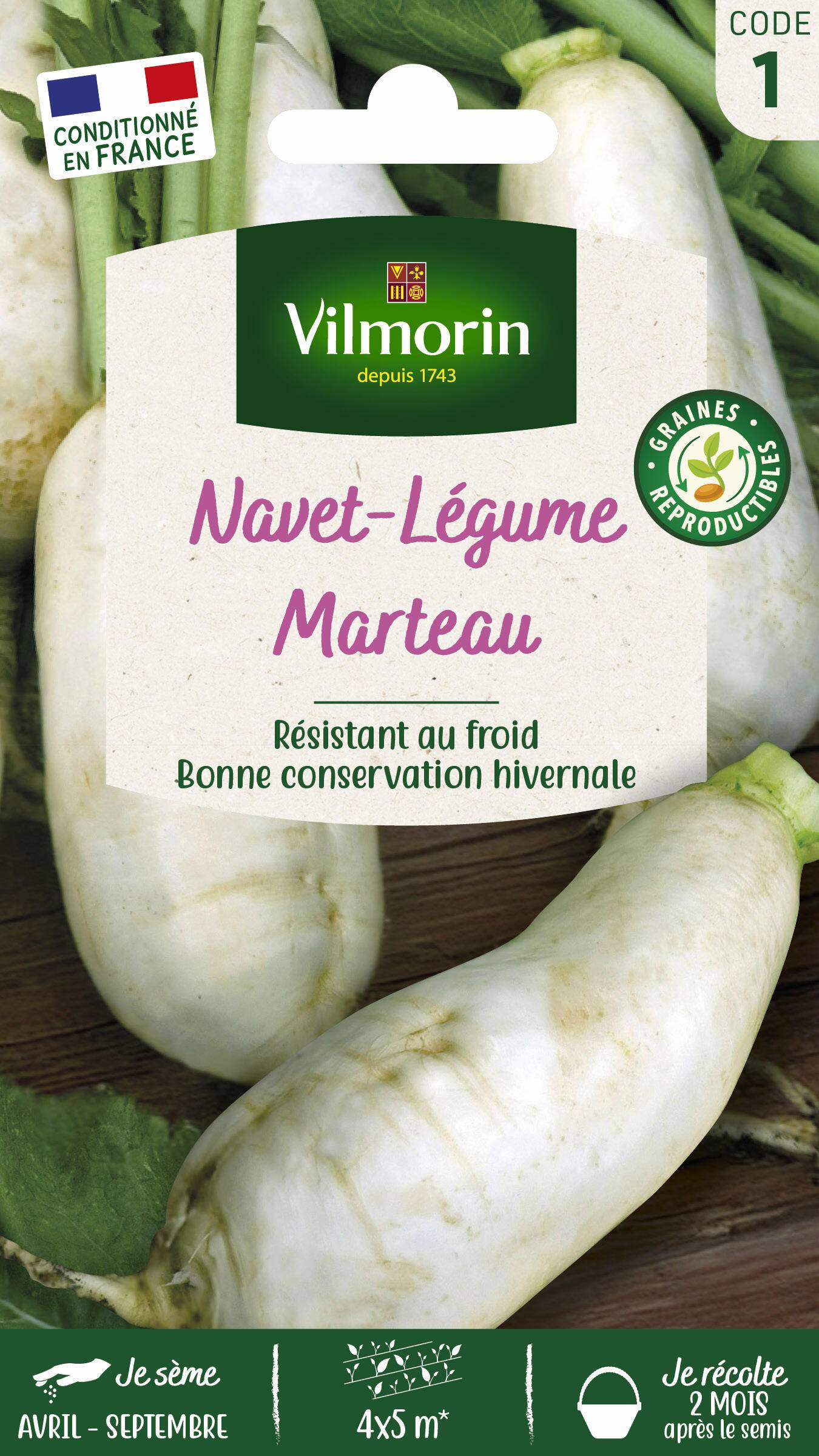 Vilmorin - Navet légume marteau série 1 sachet graines 4 g - Vilmorin - Image 1