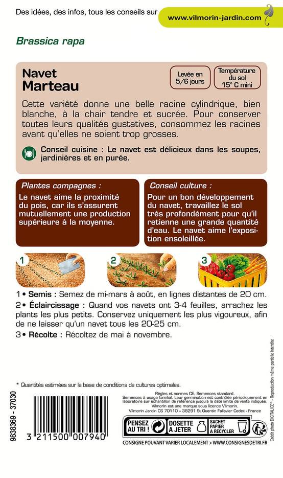 Vilmorin - Navet légume marteau série 1 sachet graines 4 g - Vilmorin - Image 3