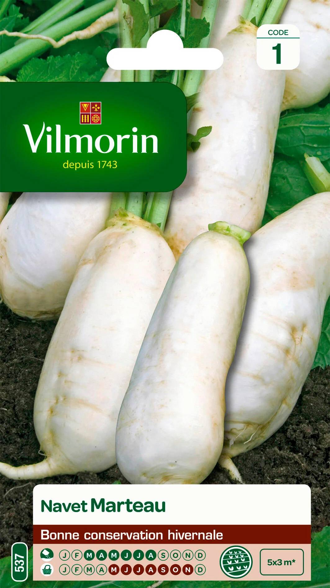 Vilmorin - Navet légume marteau série 1 sachet graines 4 g - Vilmorin - Image 2