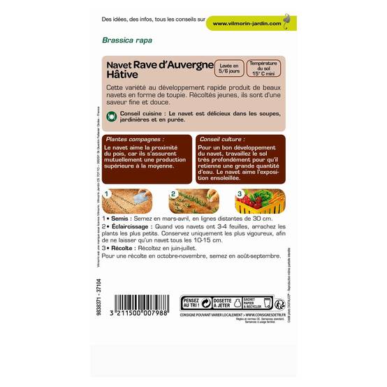 Vilmorin - Navet légume rave d'Auvergne hâtif série 1 sachet graines 4 g - Vilmorin - Image 4
