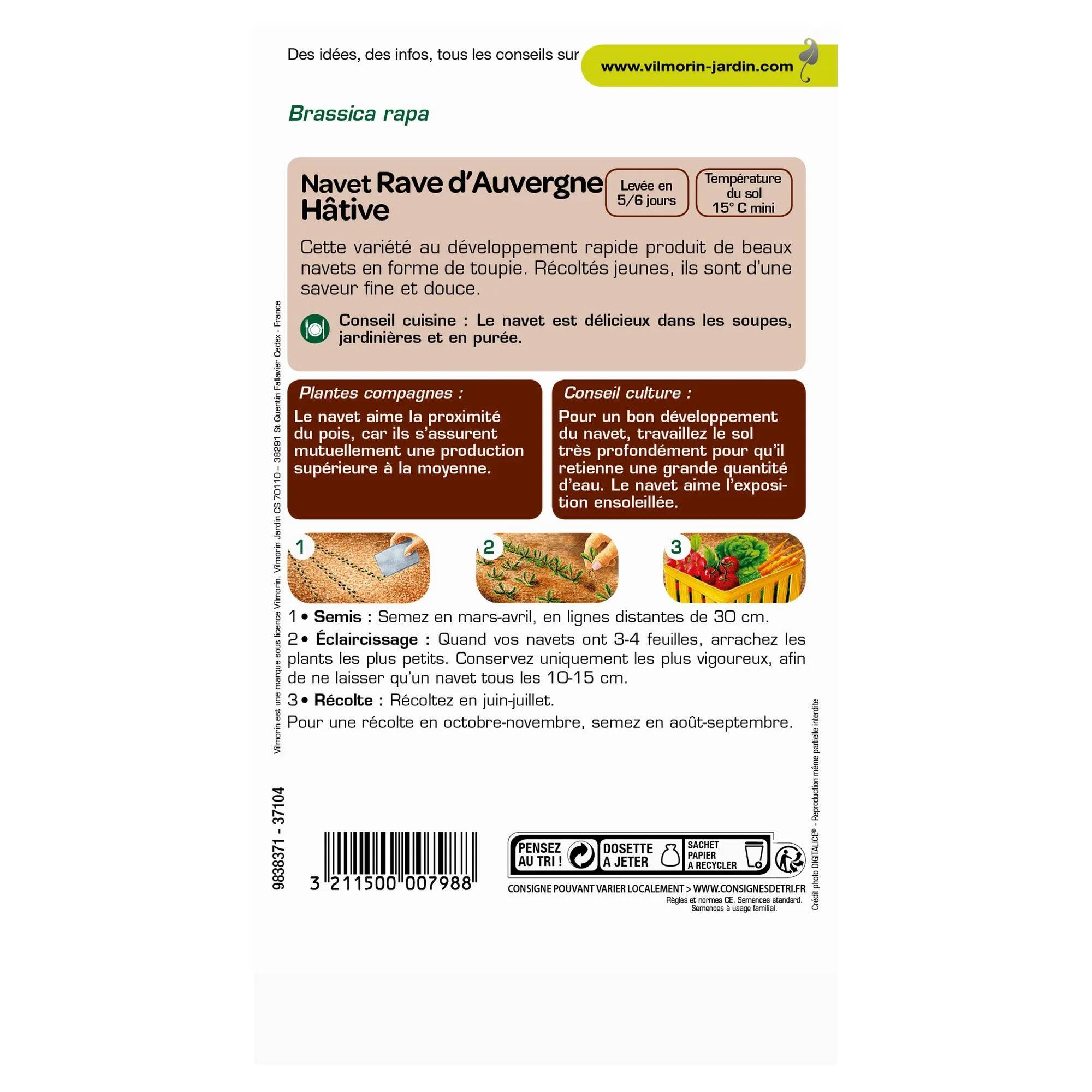 Vilmorin - Navet légume rave d'Auvergne hâtif série 1 sachet graines 4 g - Vilmorin - Image 4