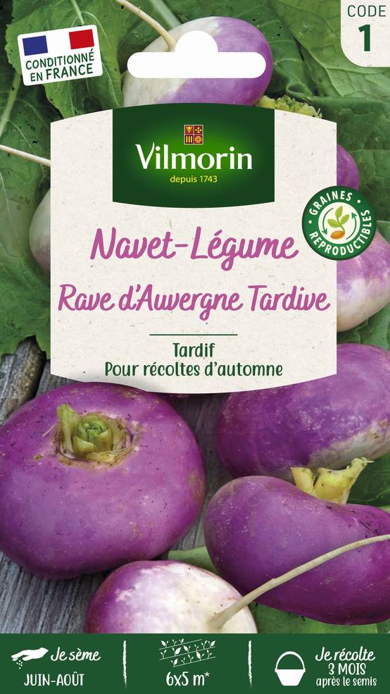 Vilmorin - Navet légume rave d'Auvergne tardif série 1 sachet graines 6 g - Vilmorin - Image 2
