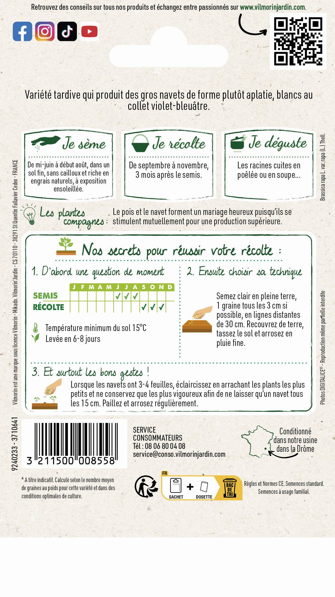 Vilmorin - Navet légume rave d'Auvergne tardif série 1 sachet graines 6 g - Vilmorin - Image 3