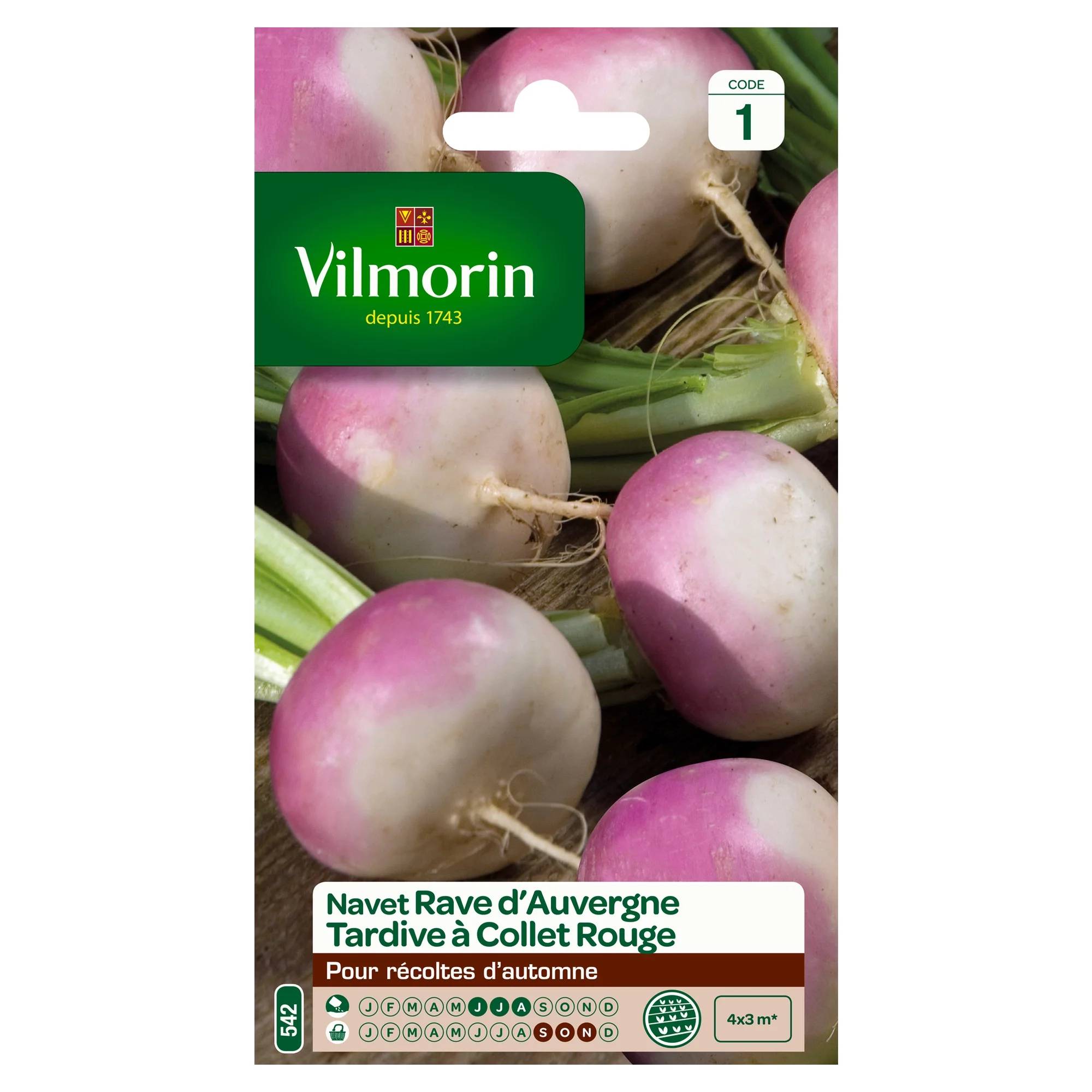 Vilmorin - Navet légume rave d'Auvergne tardif série 1 sachet graines 6 g - Vilmorin - Image 2