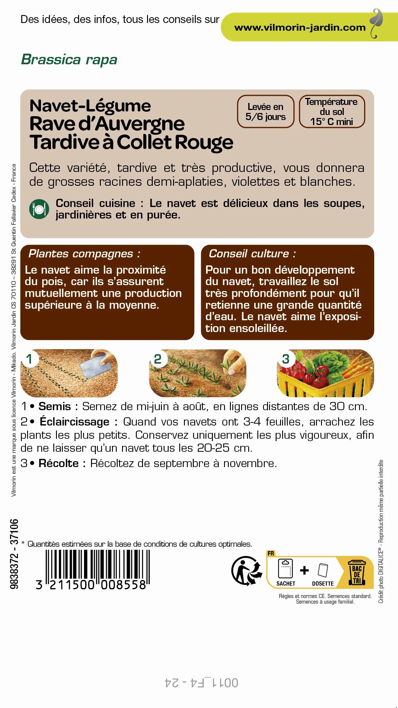 Vilmorin - Navet légume rave d'Auvergne tardif série 1 sachet graines 6 g - Vilmorin - Image 1