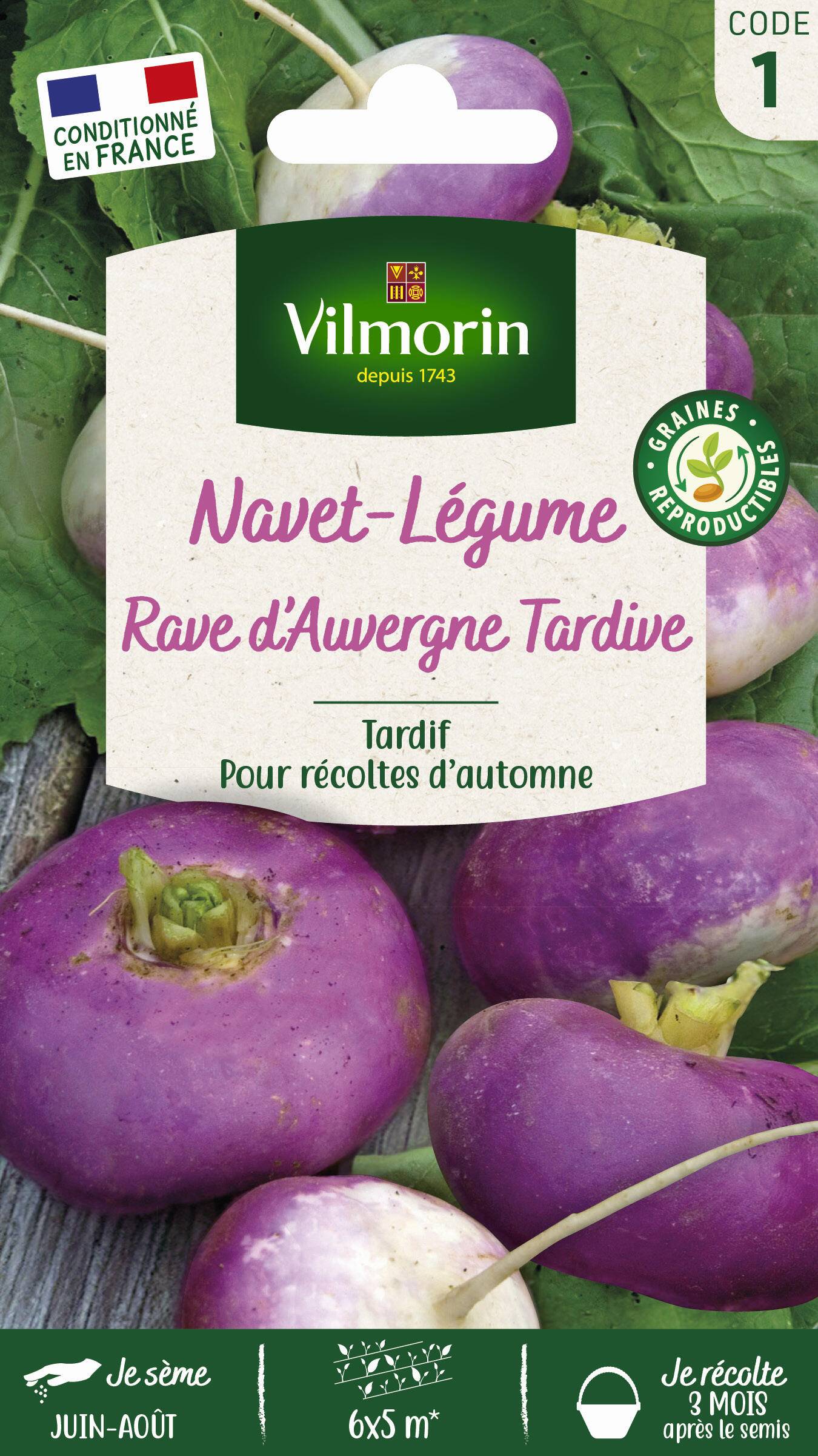 Vilmorin - Navet légume rave d'Auvergne tardif série 1 sachet graines 6 g - Vilmorin - Image 3