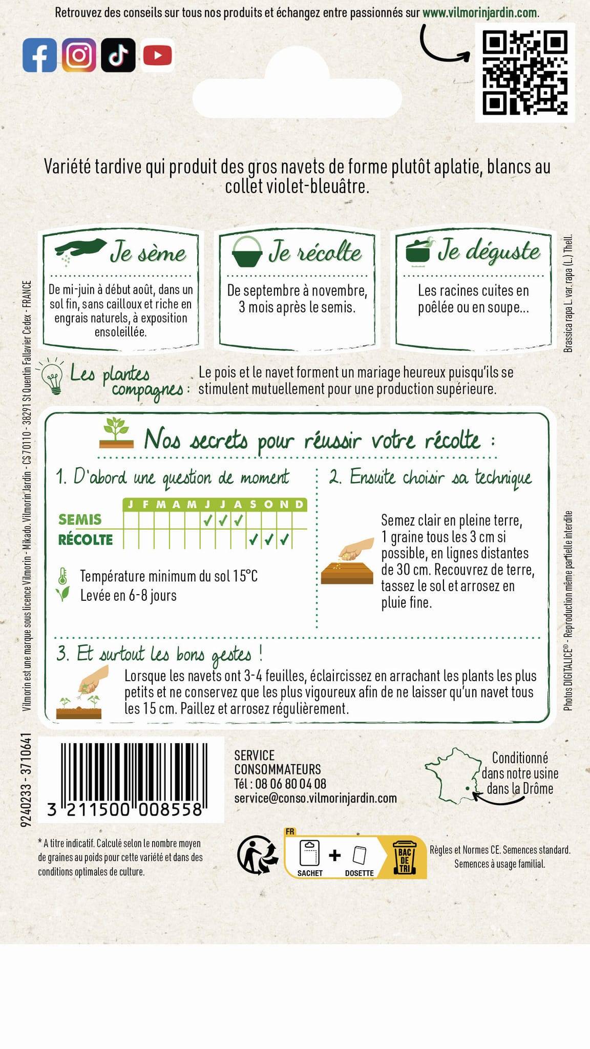 Vilmorin - Navet légume rave d'Auvergne tardif série 1 sachet graines 6 g - Vilmorin - Image 4