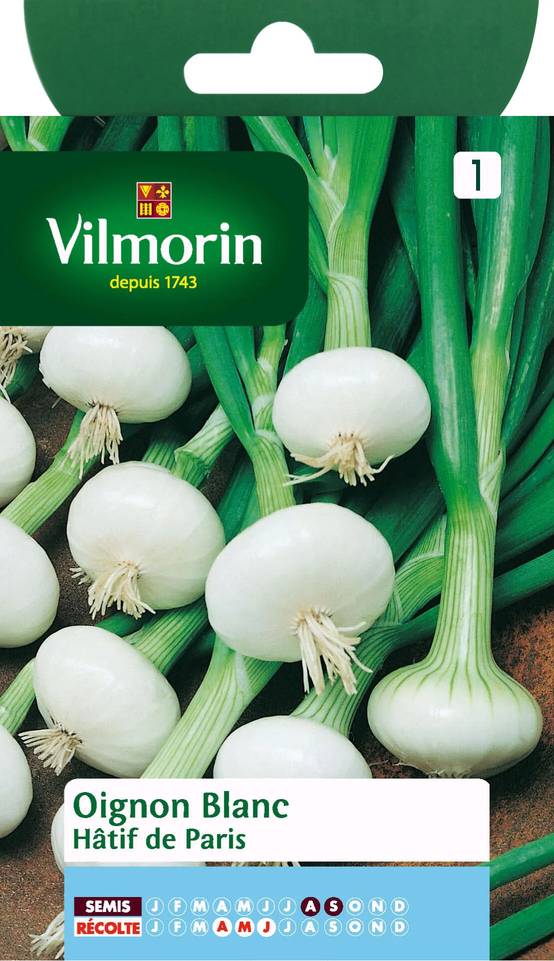 Vilmorin - Oignon blanc de Paris série 1 sachet graines 3 g - Vilmorin - Image 2