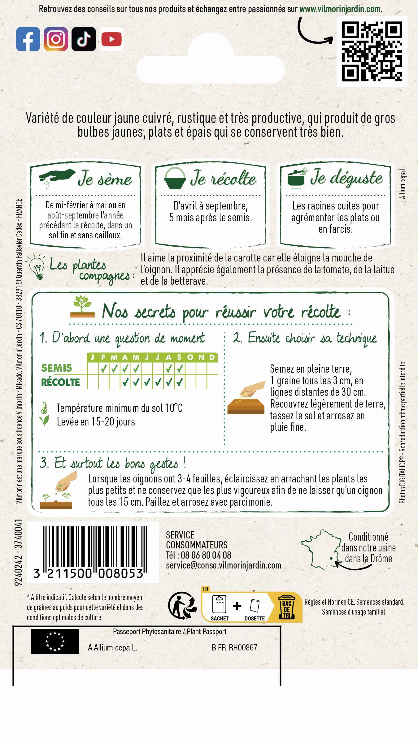 Vilmorin - Oignon jaune paille des vertus série 1 sachet graines 3 g - Vilmorin - Image 3