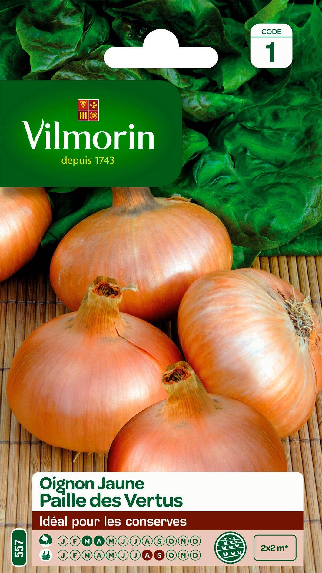 Vilmorin - Oignon jaune paille des vertus série 1 sachet graines 3 g - Vilmorin - Image 1