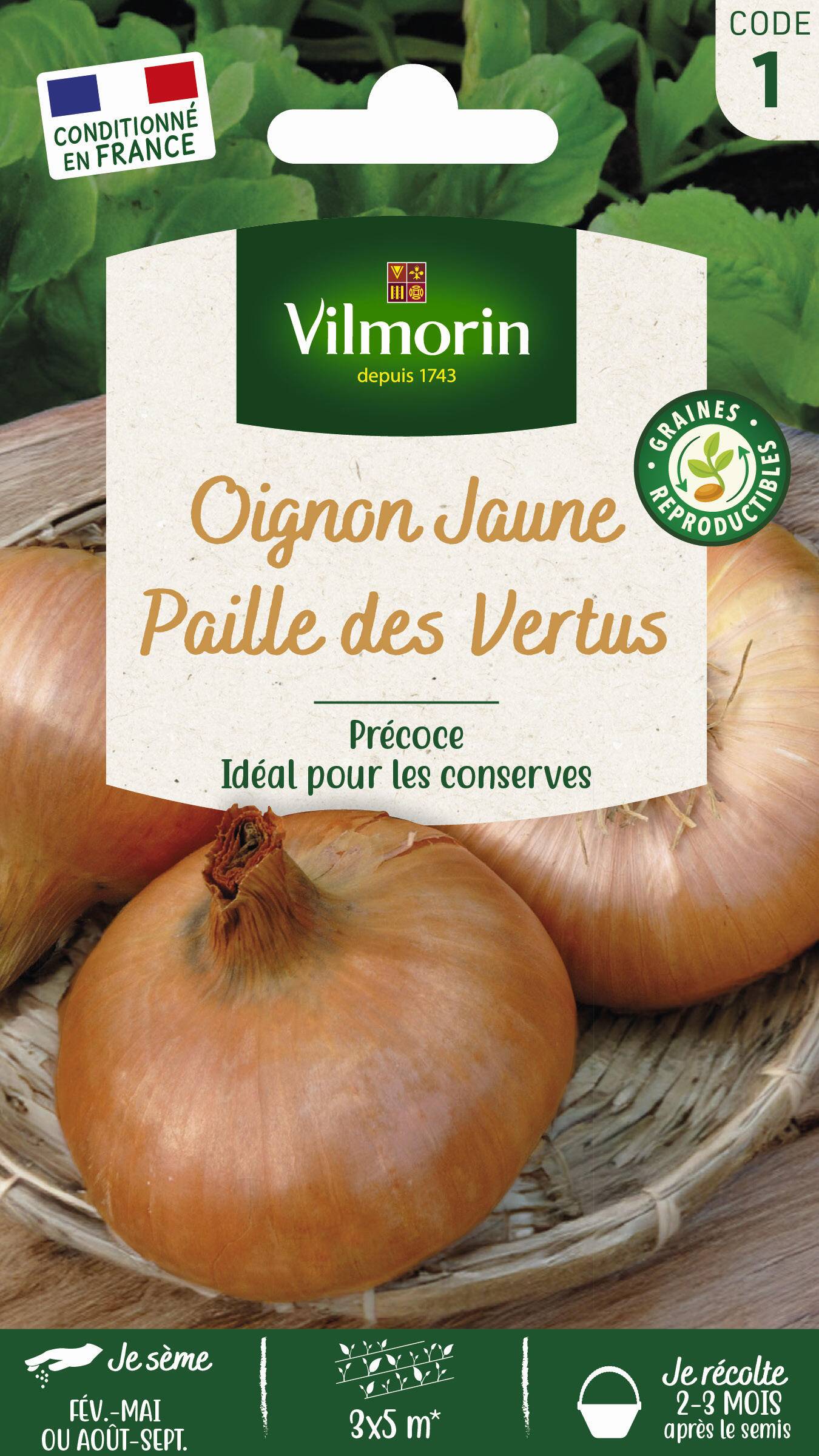 Vilmorin - Oignon jaune paille des vertus série 1 sachet graines 3 g - Vilmorin - Image 3