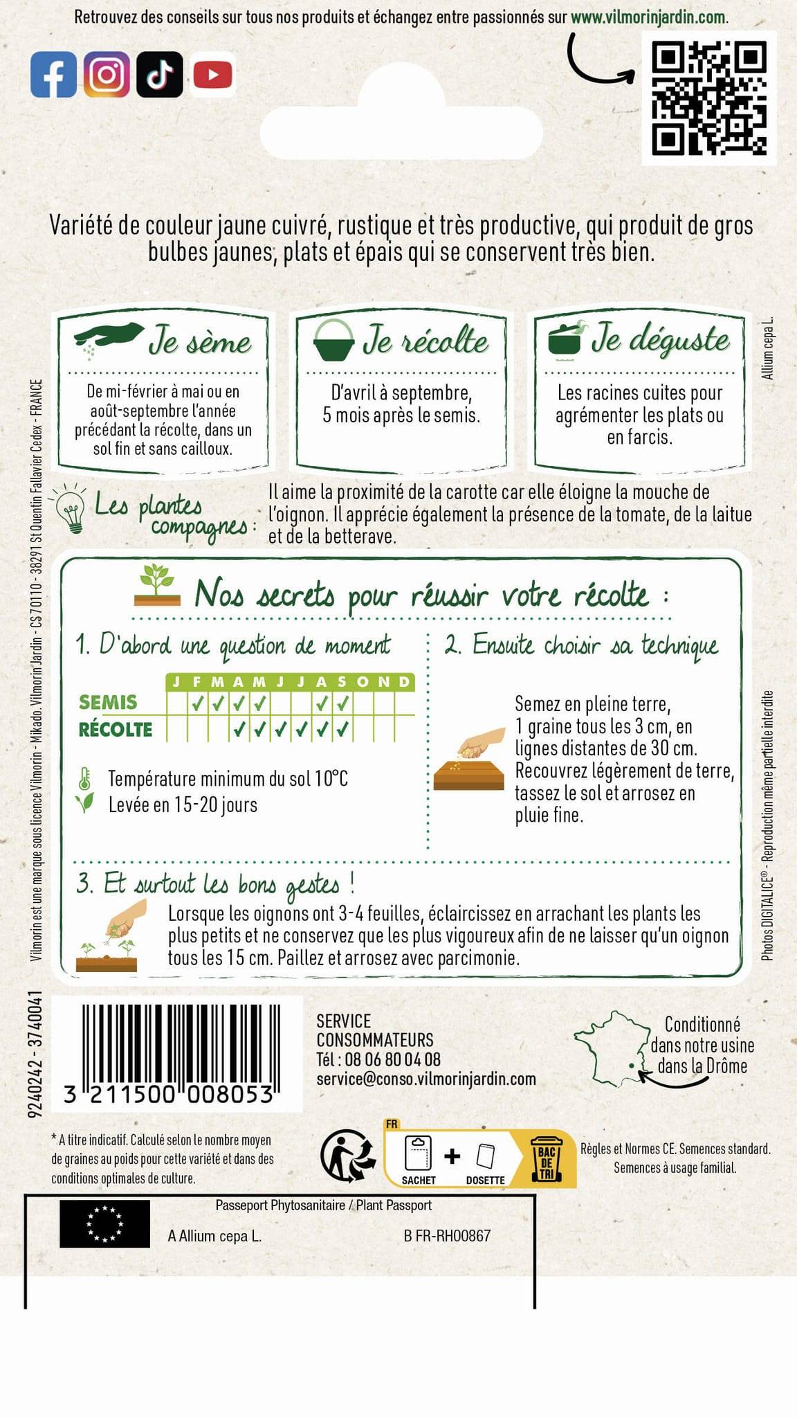 Vilmorin - Oignon jaune paille des vertus série 1 sachet graines 3 g - Vilmorin - Image 4