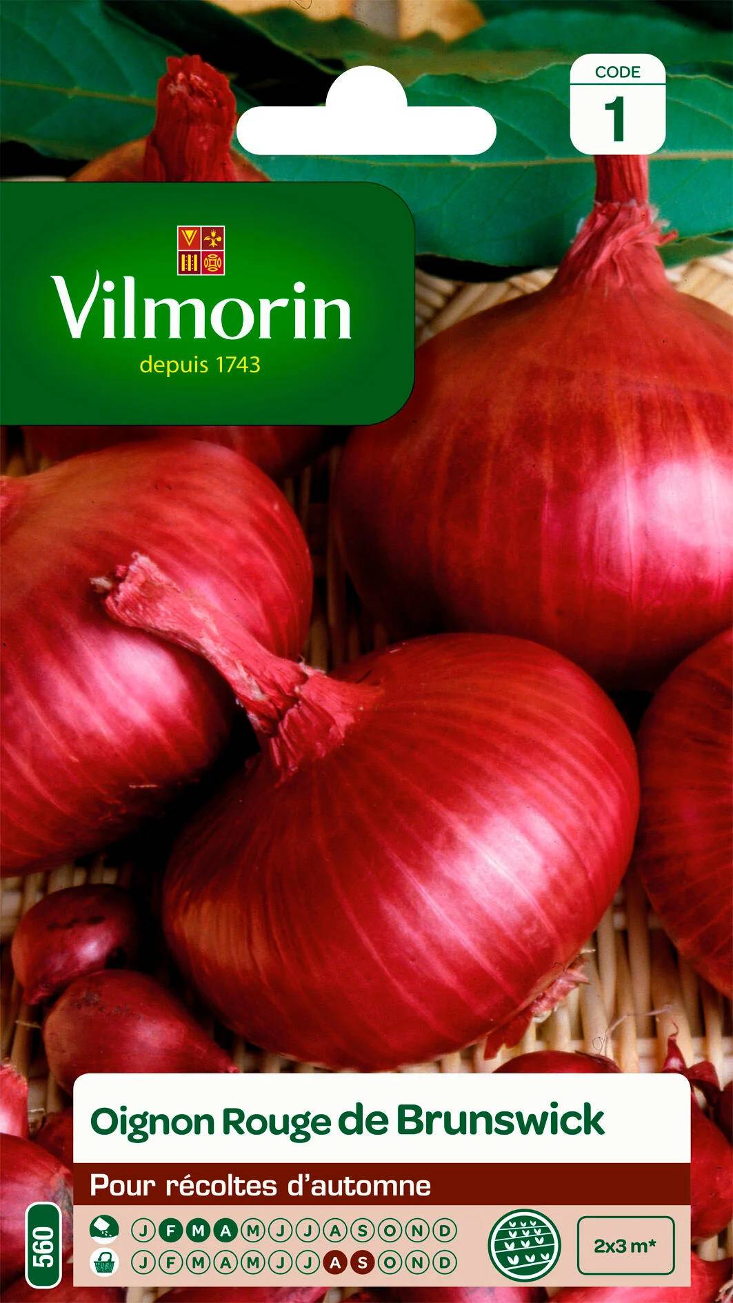 Vilmorin - Oignon rouge de Brunswick série 1 sachet graines 5 g - Vilmorin - Image 2