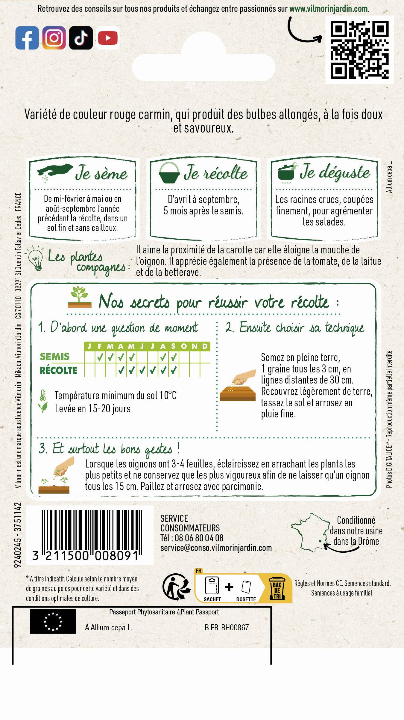 Vilmorin - Oignon rouge de Florence race de Simiane série 2 sachet graines 5 g - Vilmorin - Image 2