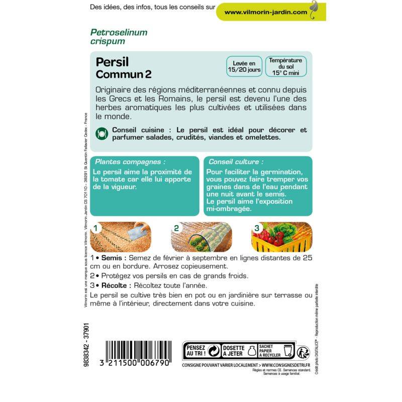 Vilmorin - Persil à feuilles commun 2 officinal série 1 sachet graines 5 g - Vilmorin - Image 2