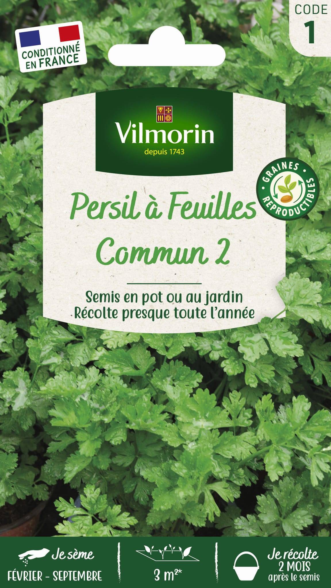 Vilmorin - Persil à feuilles commun 2 officinal série 1 sachet graines 5 g - Vilmorin - Image 3
