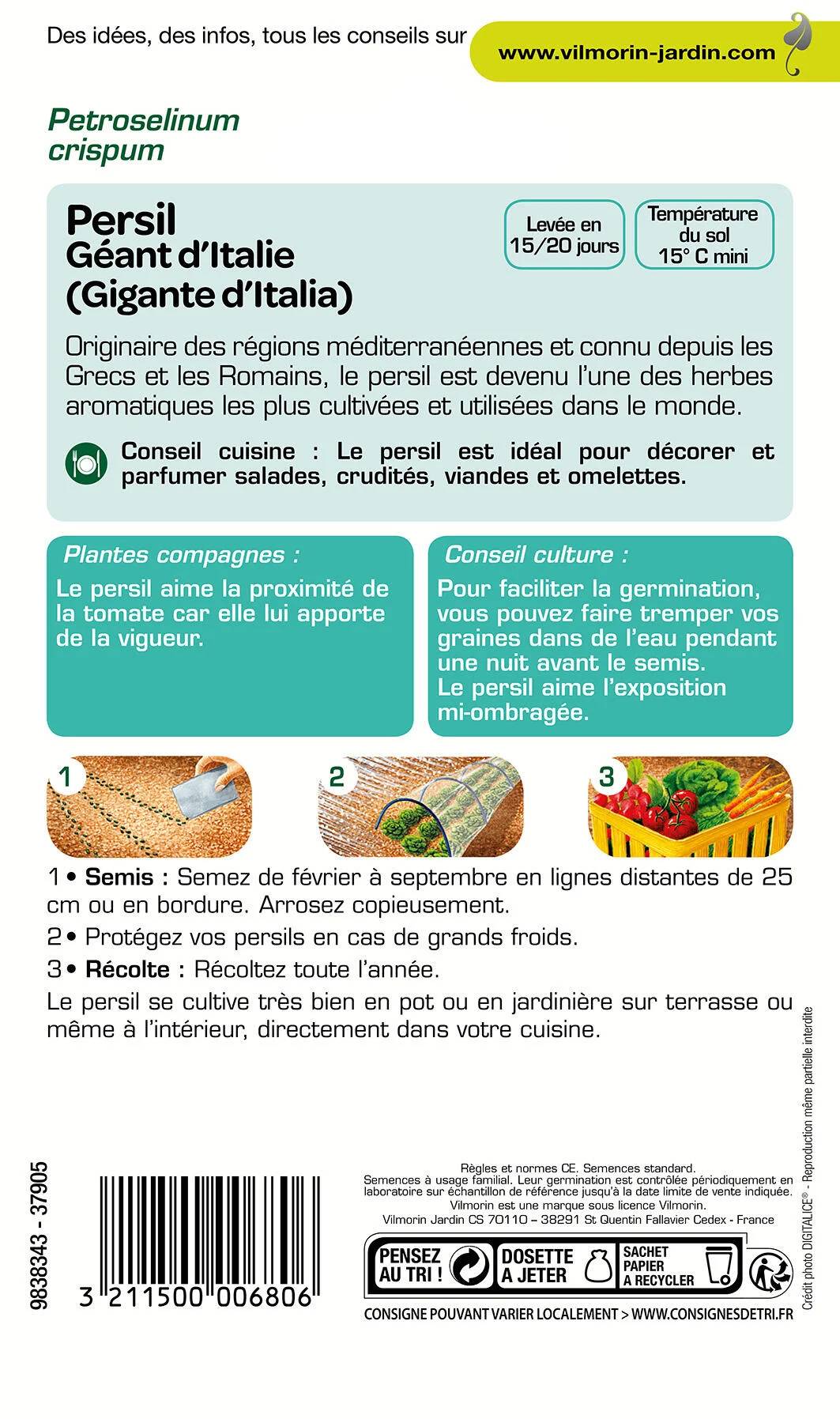 Vilmorin - Persil à feuilles commun géant d Italie série 2 sachet graines 5 g - Vilmorin - Image 2