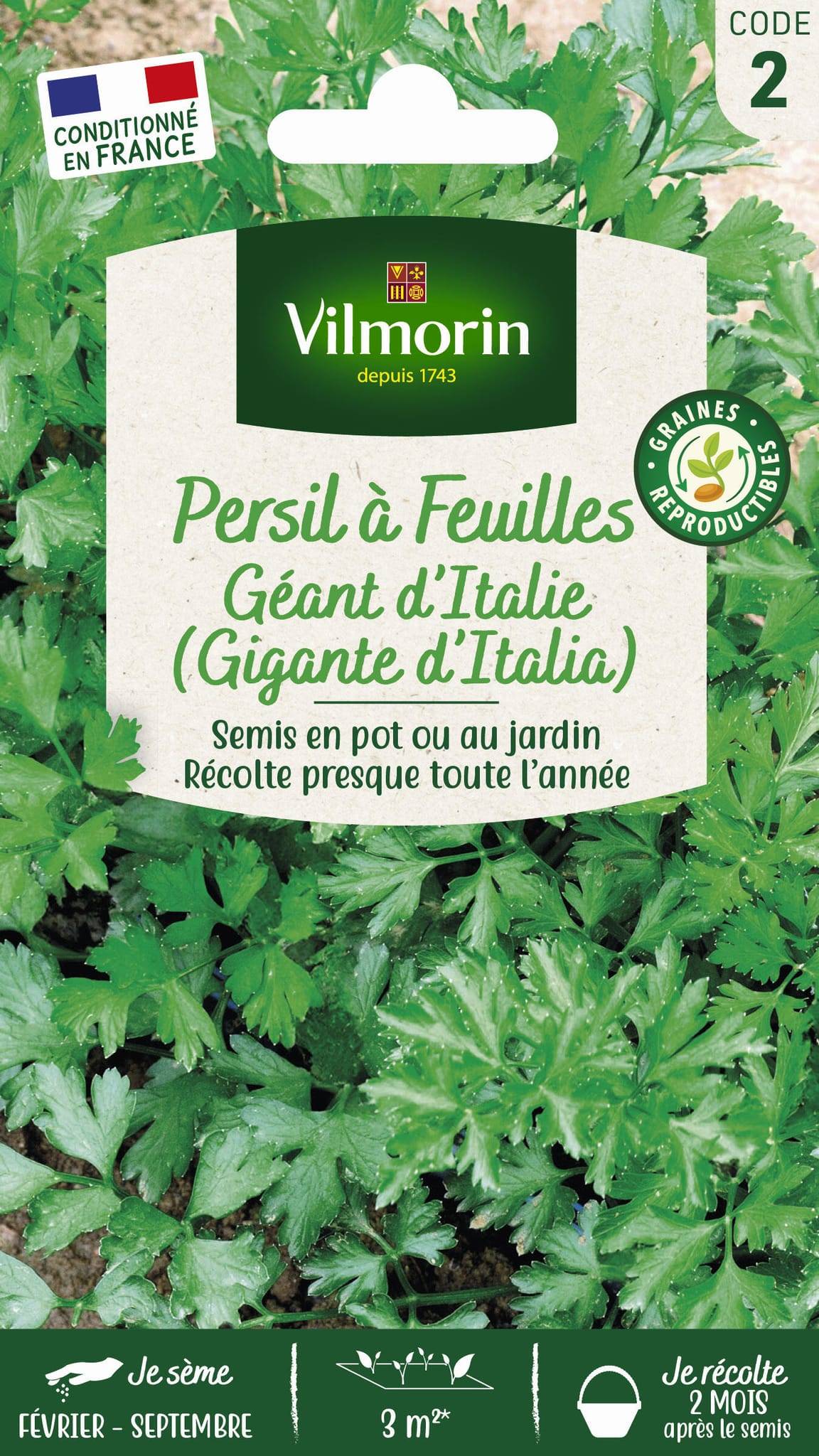 Vilmorin - Persil à feuilles commun géant d Italie série 2 sachet graines 5 g - Vilmorin - Image 3