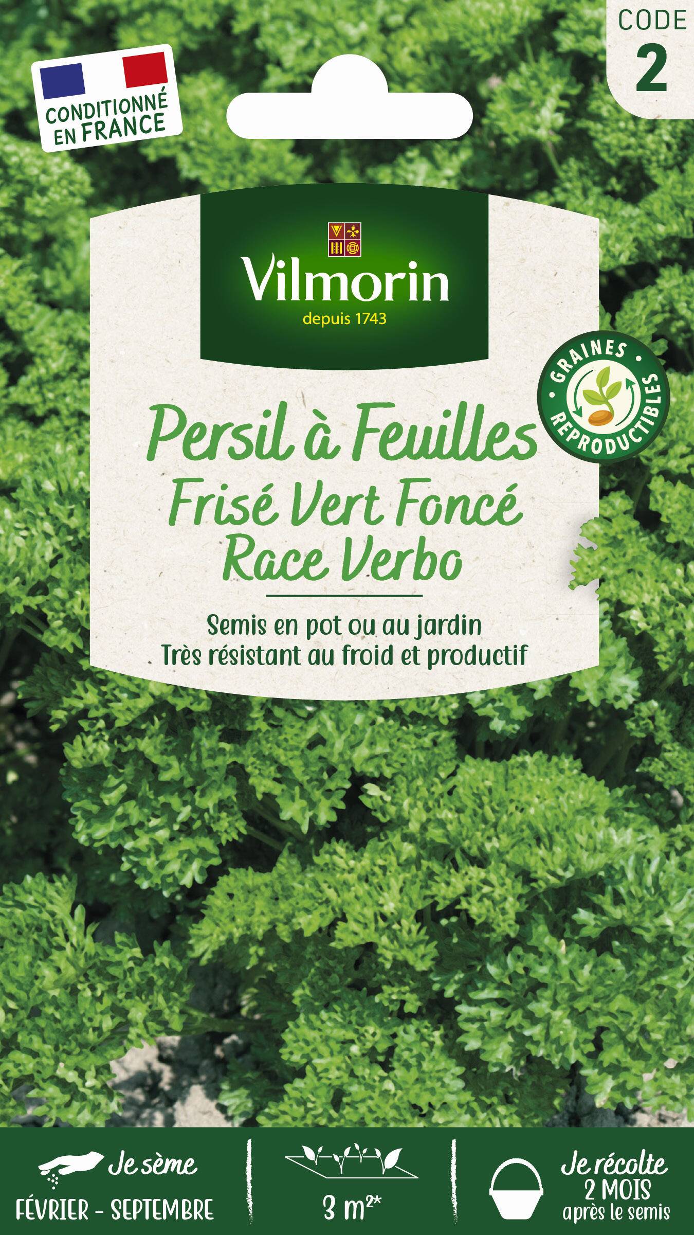 Vilmorin - Persil à feuilles frisé race Verbo sélection série 2 sachet graines 5 g - Vilmorin - Image 2