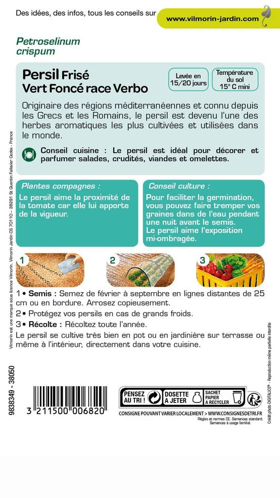 Vilmorin - Persil à feuilles frisé race Verbo sélection série 2 sachet graines 5 g - Vilmorin - Image 3