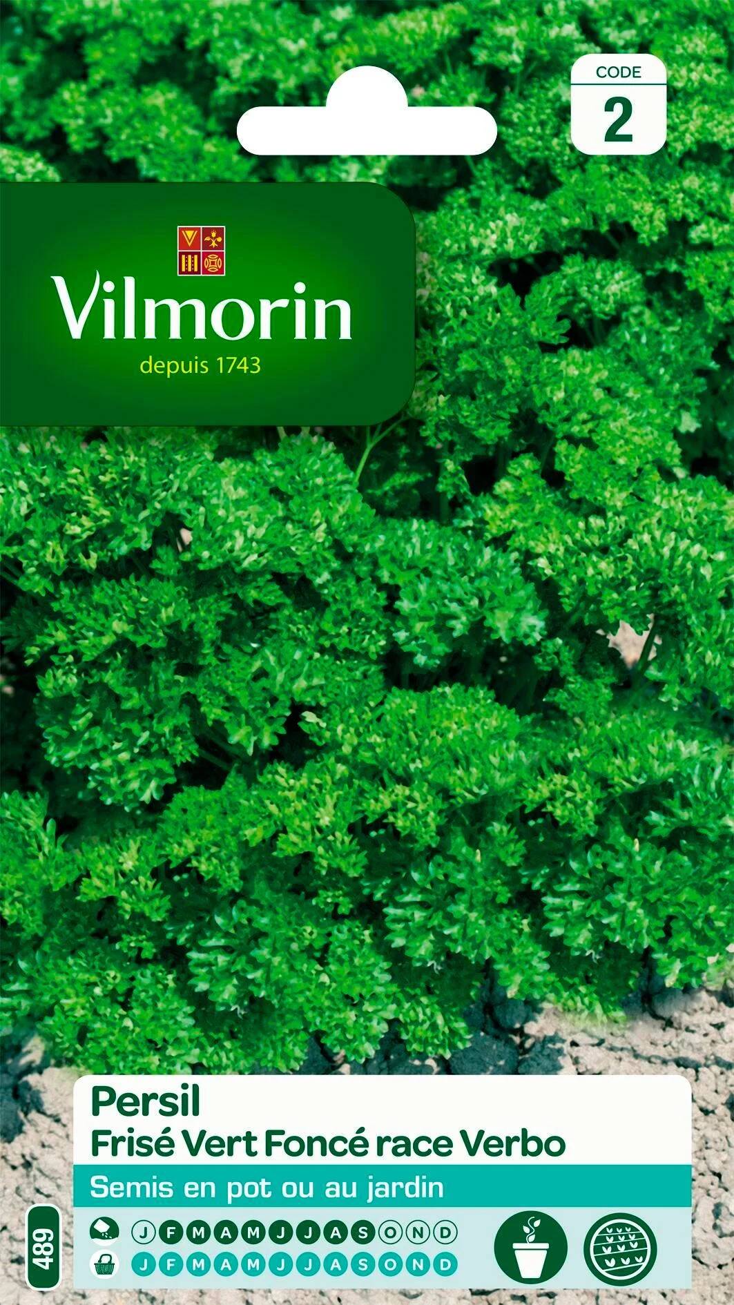 Vilmorin - Persil à feuilles frisé race Verbo sélection série 2 sachet graines 5 g - Vilmorin - Image 2