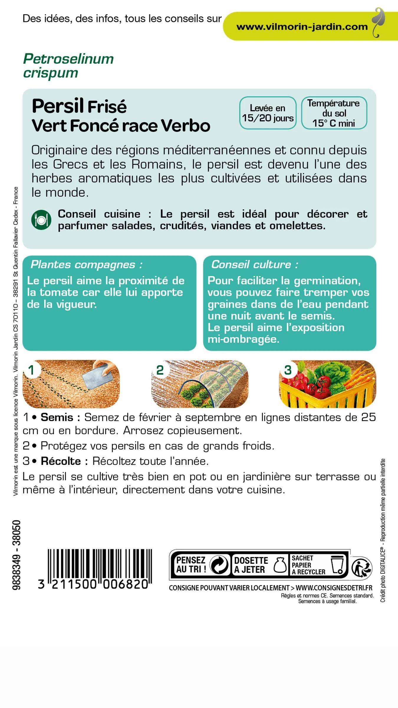 Vilmorin - Persil à feuilles frisé race Verbo sélection série 2 sachet graines 5 g - Vilmorin
