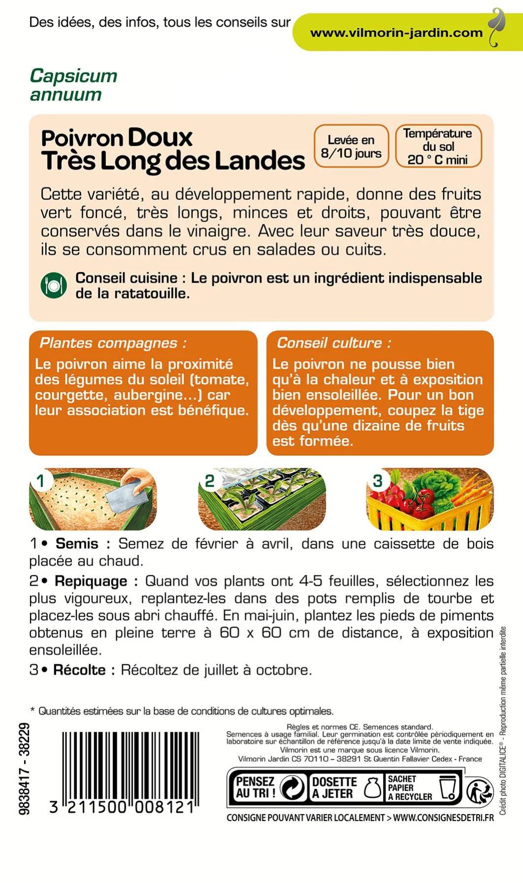 Vilmorin - Poivron doux long des Landes série 2 sachet graines 2 g - Vilmorin - Image 5