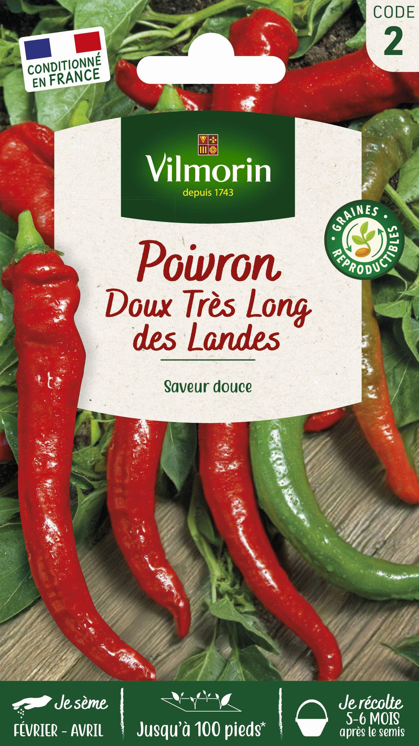 Vilmorin - Poivron doux long des Landes série 2 sachet graines 2 g - Vilmorin - Image 2