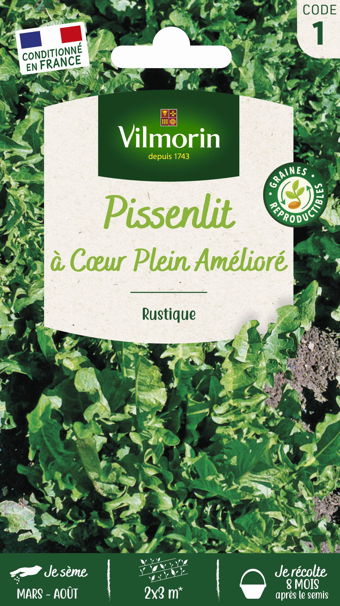 Vilmorin - Pissenlit à cœur plein améliore série 1 sachet graines 1 g - Vilmorin - Image 1