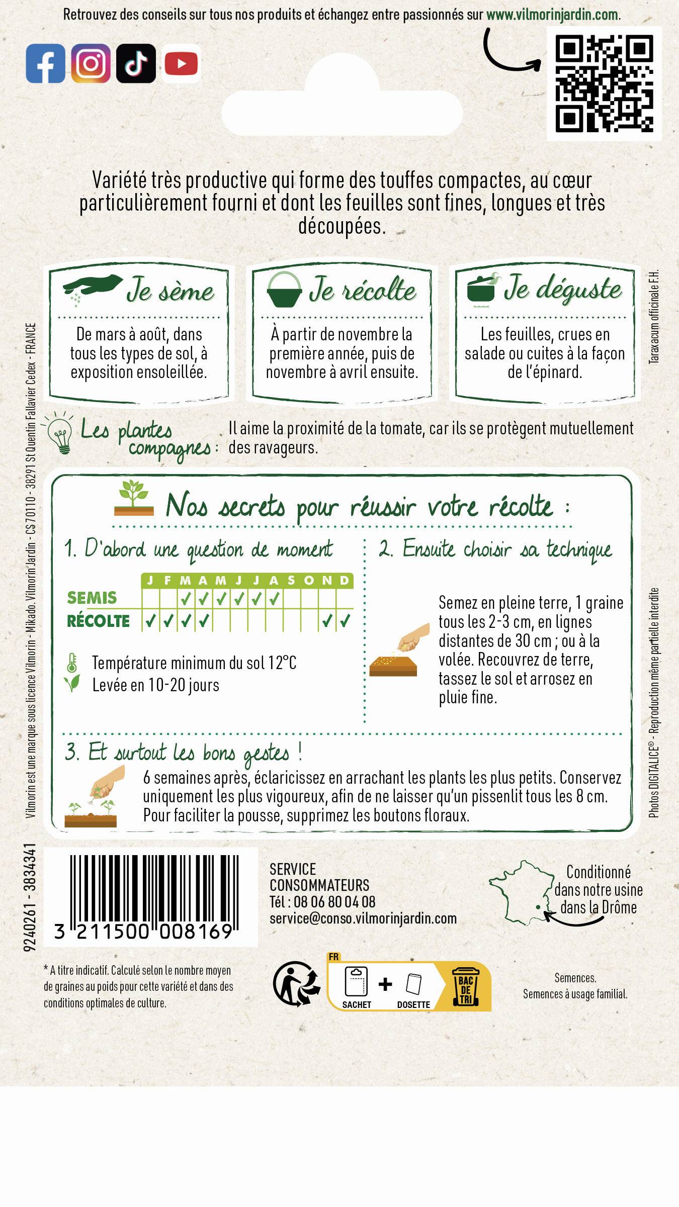 Vilmorin - Pissenlit à cœur plein améliore série 1 sachet graines 1 g - Vilmorin - Image 4