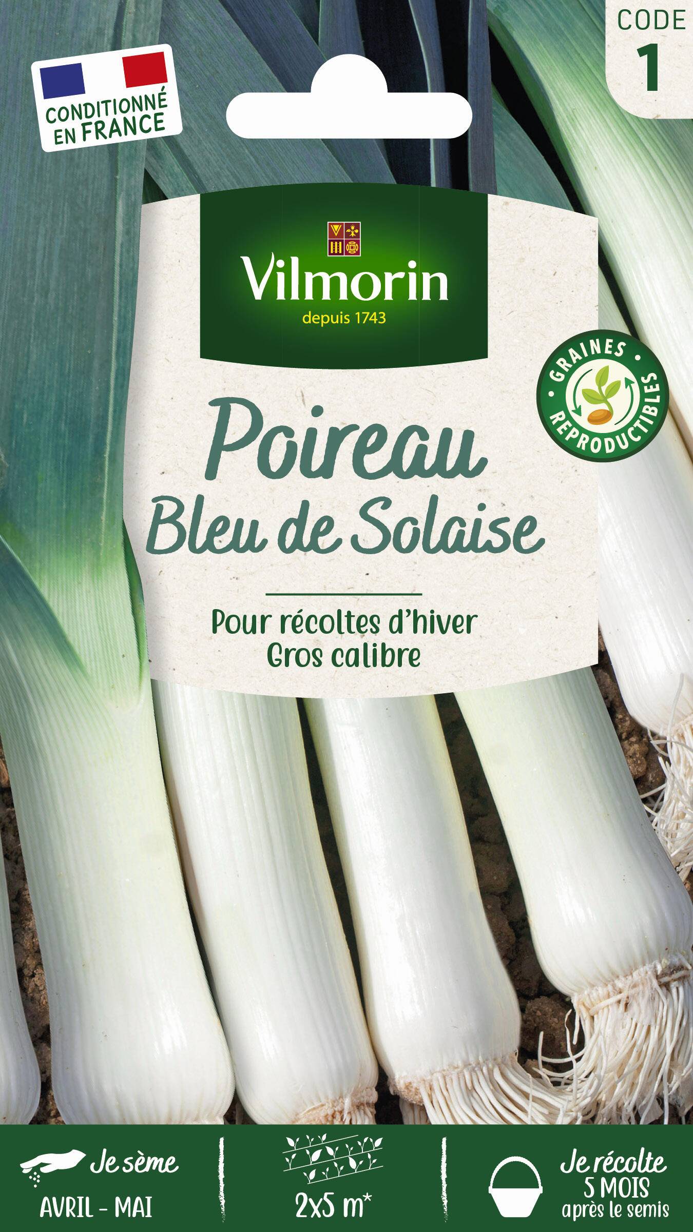 Vilmorin - Poireau bleu de Solaise série 1 sachet graines 4 g - Vilmorin - Image 2