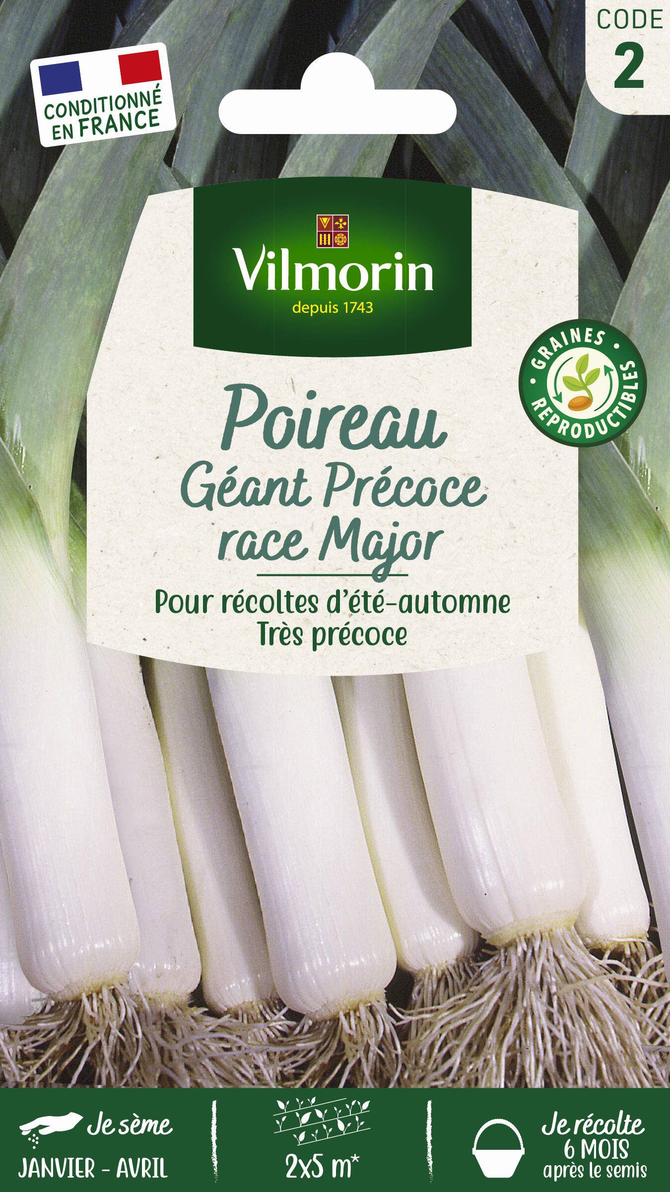 Vilmorin - Poireau géant précoce race Major sélection série 2 sachet graines 4 g - Vilmorin - Image 1