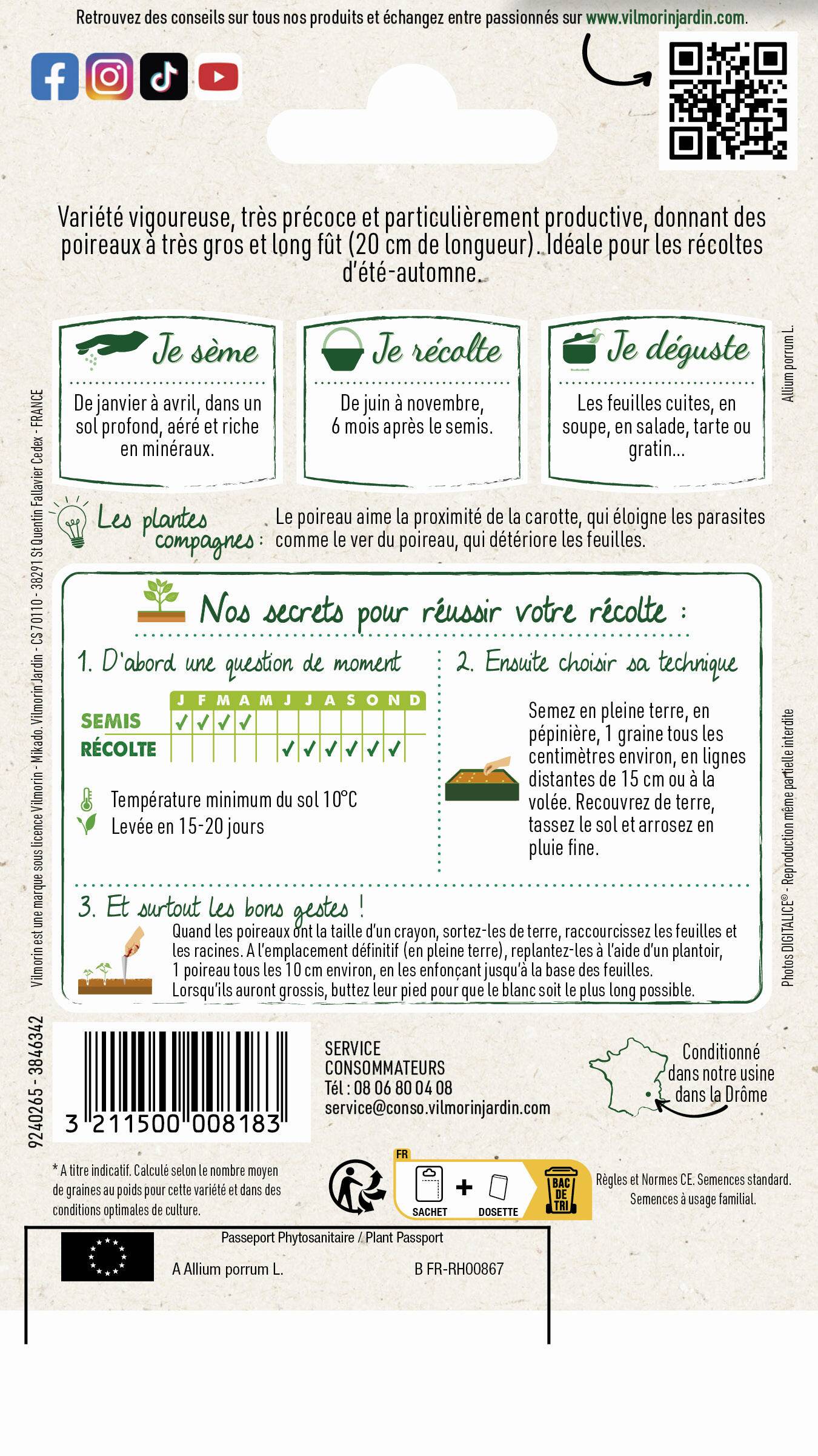 Vilmorin - Poireau géant précoce race Major sélection série 2 sachet graines 4 g - Vilmorin - Image 2