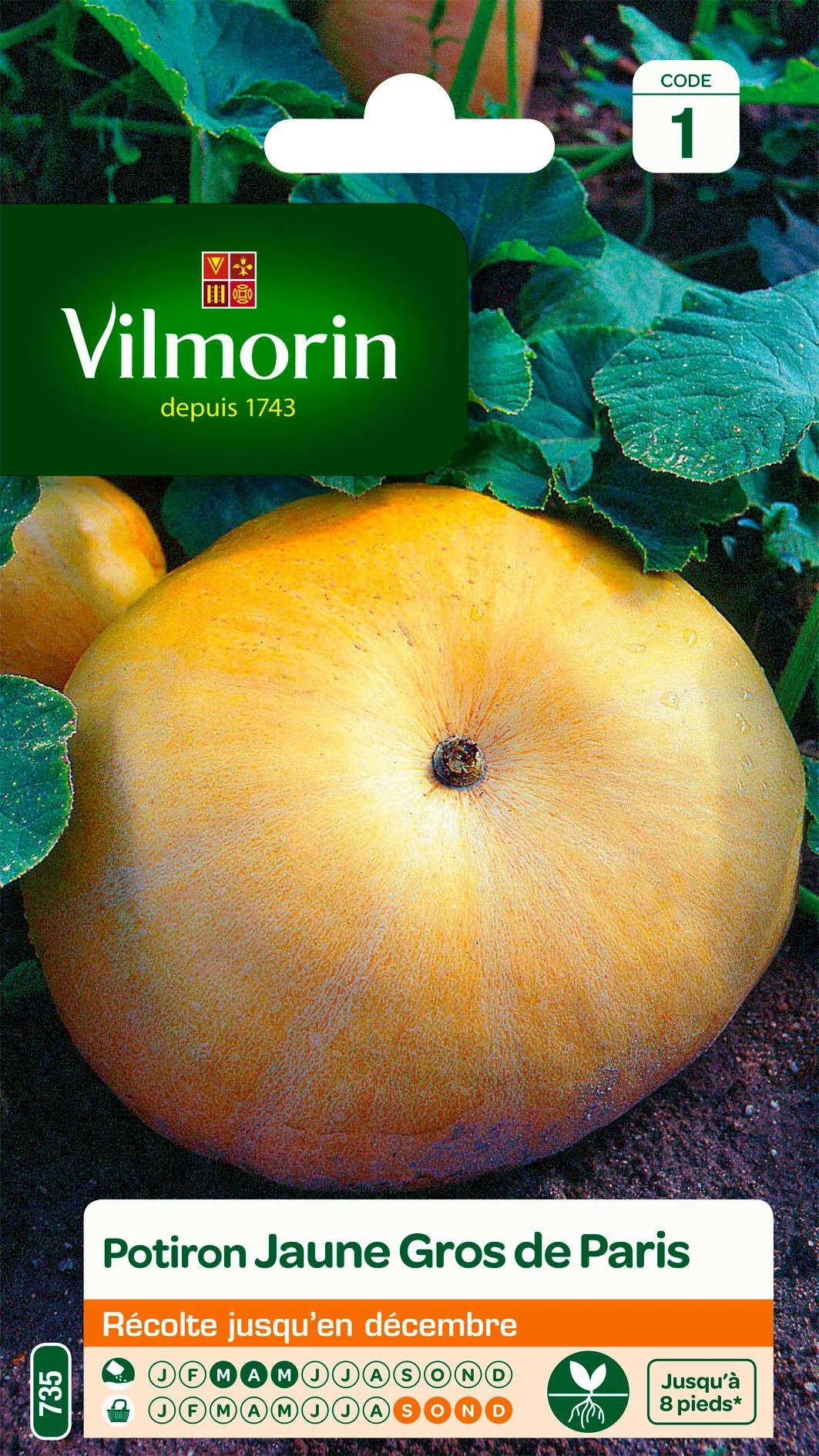 Vilmorin - Potiron jaune Gros de Paris série 1 sachet graines 6 g - Vilmorin - Image 1