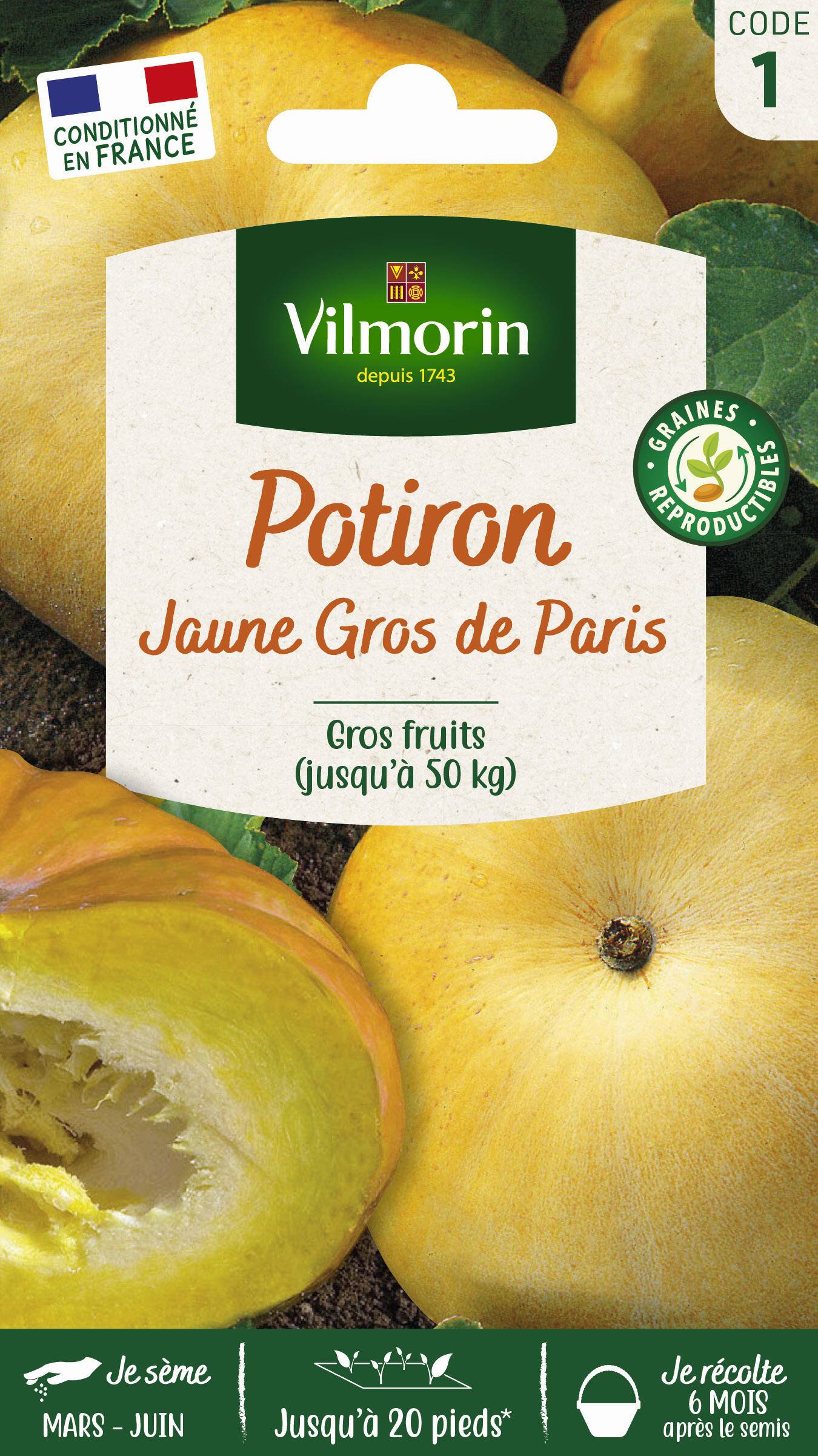 Vilmorin - Potiron jaune Gros de Paris série 1 sachet graines 6 g - Vilmorin - Image 2