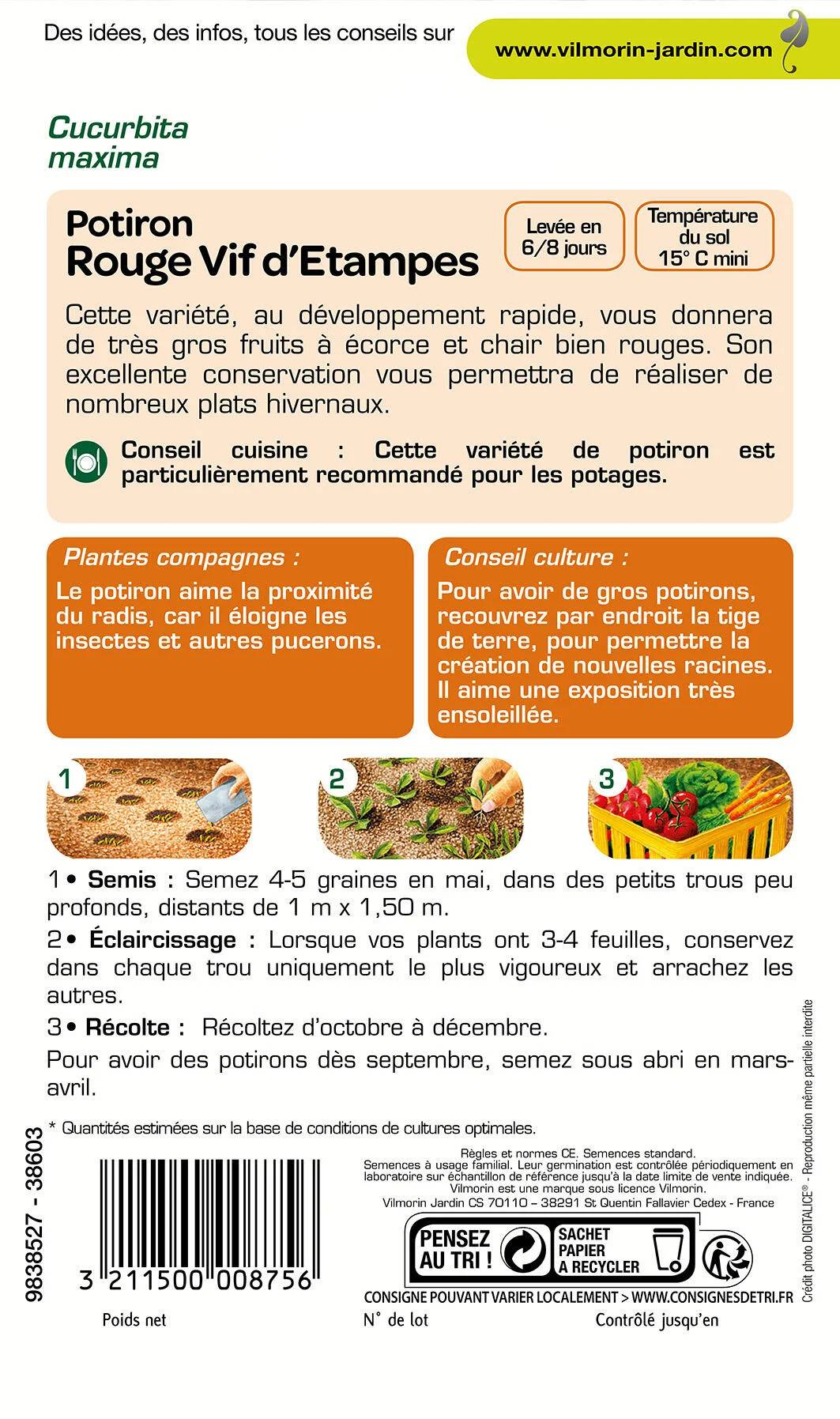 Vilmorin - Potiron rouge vif d'Etampes série 1 sachet graines 6 g - Vilmorin - Image 4