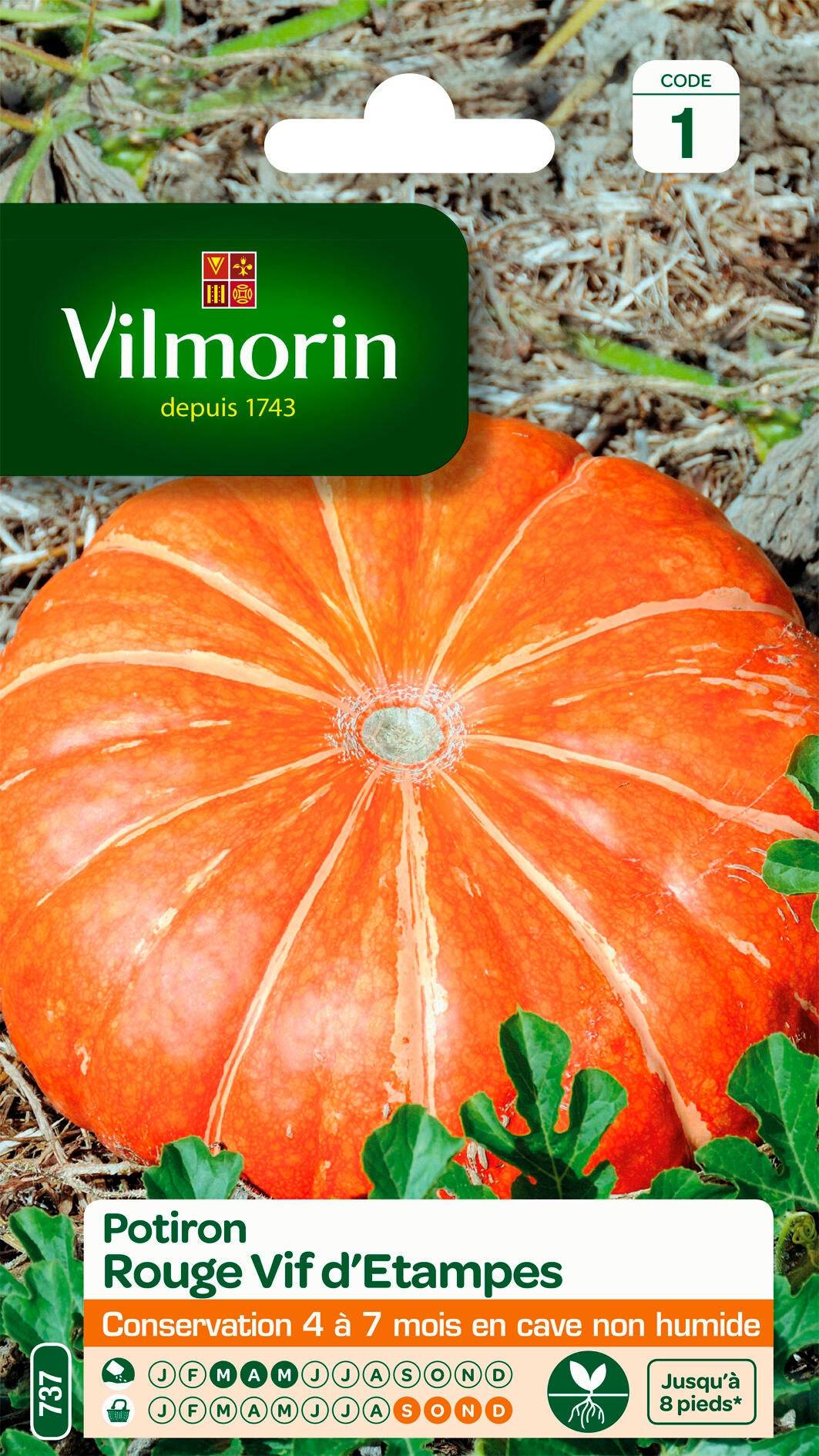 Vilmorin - Potiron rouge vif d'Etampes série 1 sachet graines 6 g - Vilmorin - Image 2