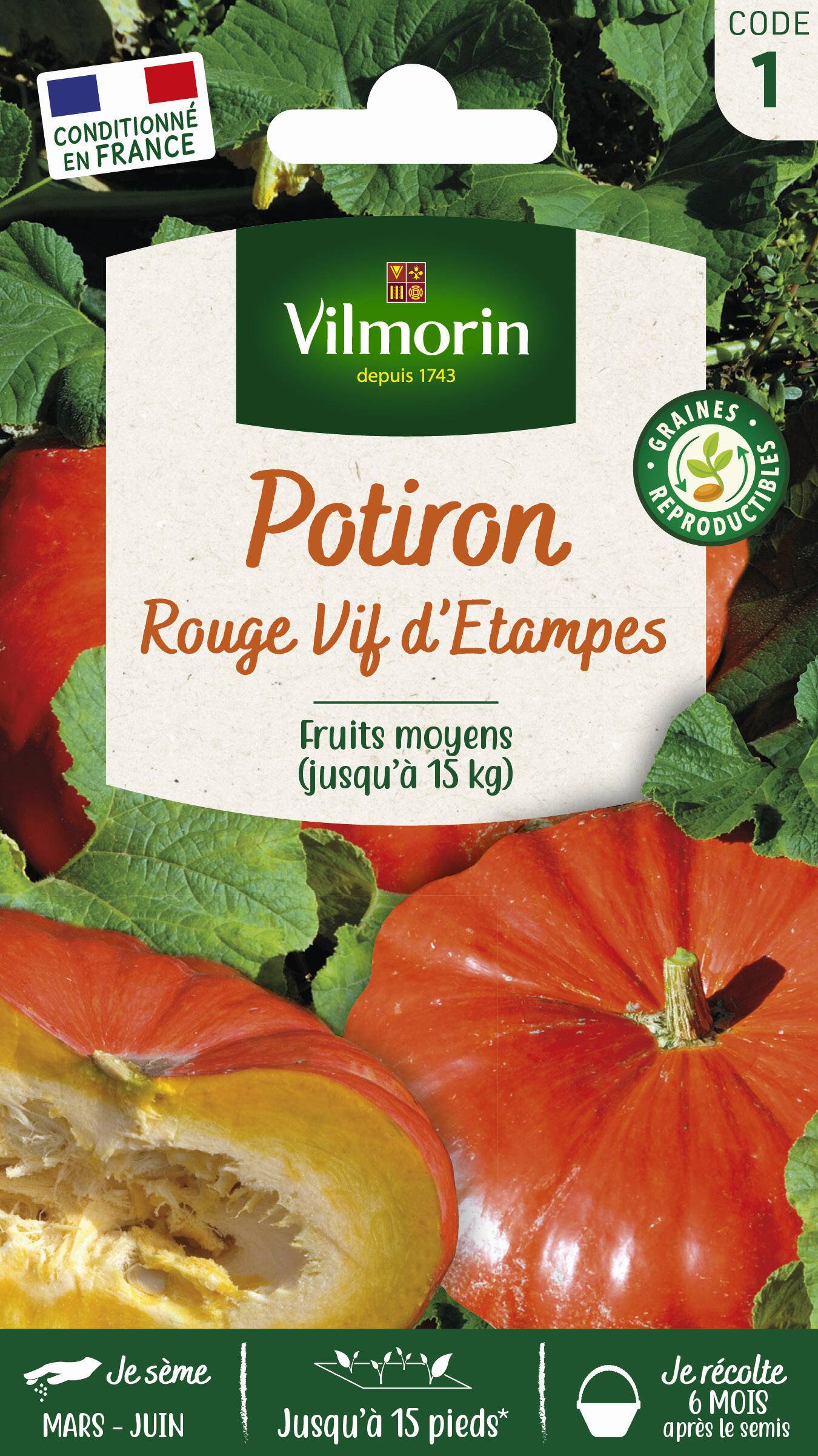 Vilmorin - Potiron rouge vif d'Etampes série 1 sachet graines 6 g - Vilmorin - Image 2
