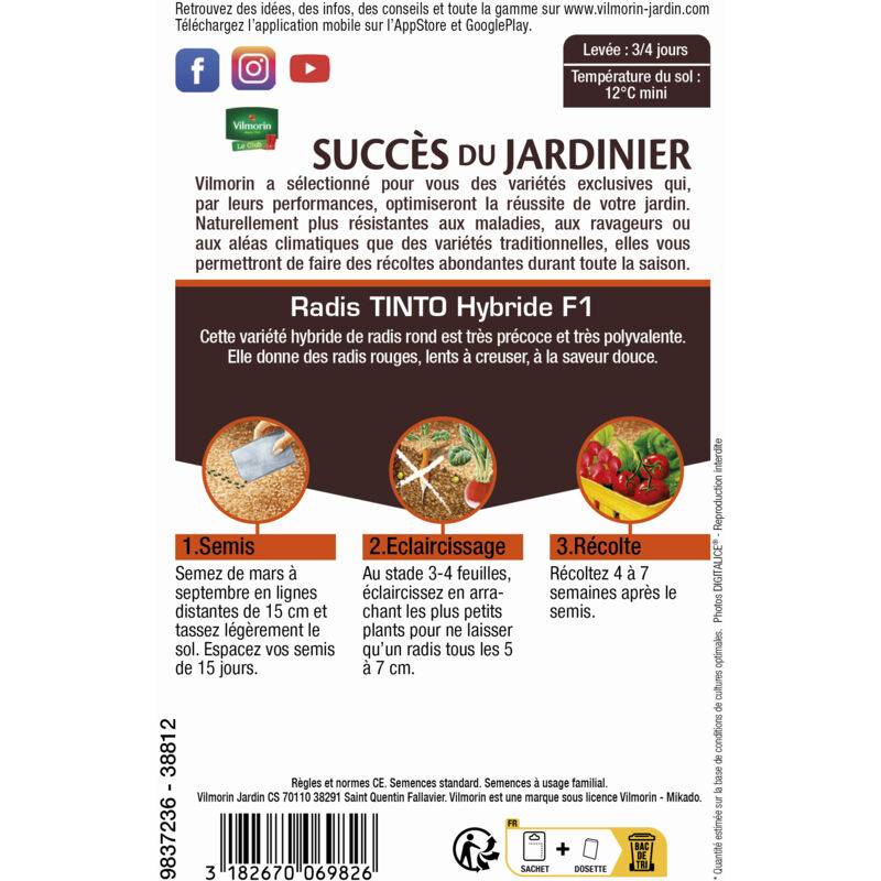 Vilmorin - Radis Tinto hf1 création série 3 sachet graines 6 g - Vilmorin - Image 4