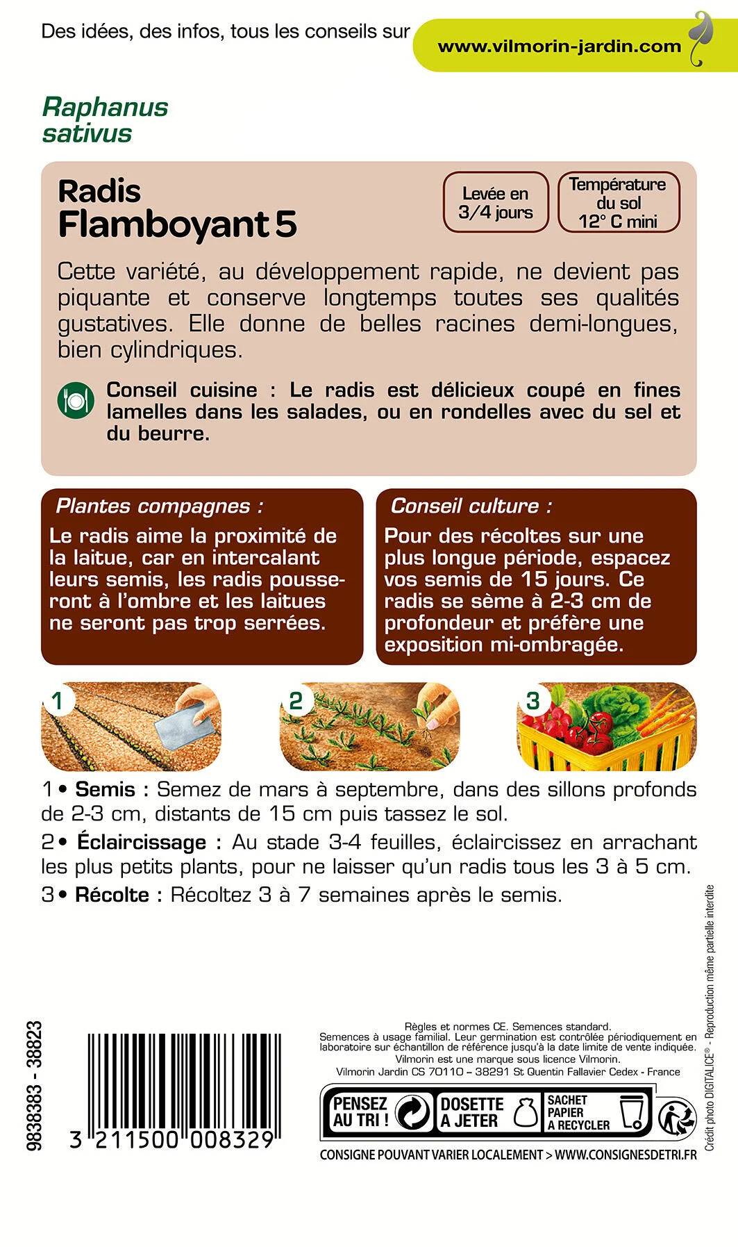 Vilmorin - Radis Flamboyant 5 série 1 sachet graines 10 g - Vilmorin - Image 3