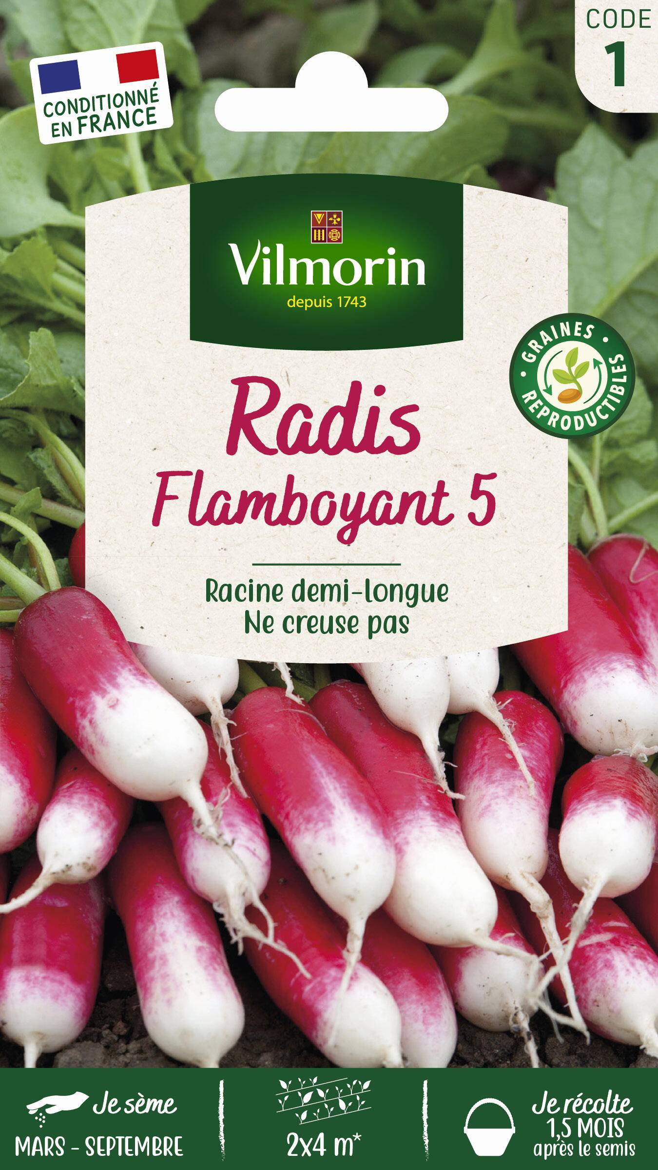 Vilmorin - Radis Flamboyant 5 série 1 sachet graines 10 g - Vilmorin - Image 2